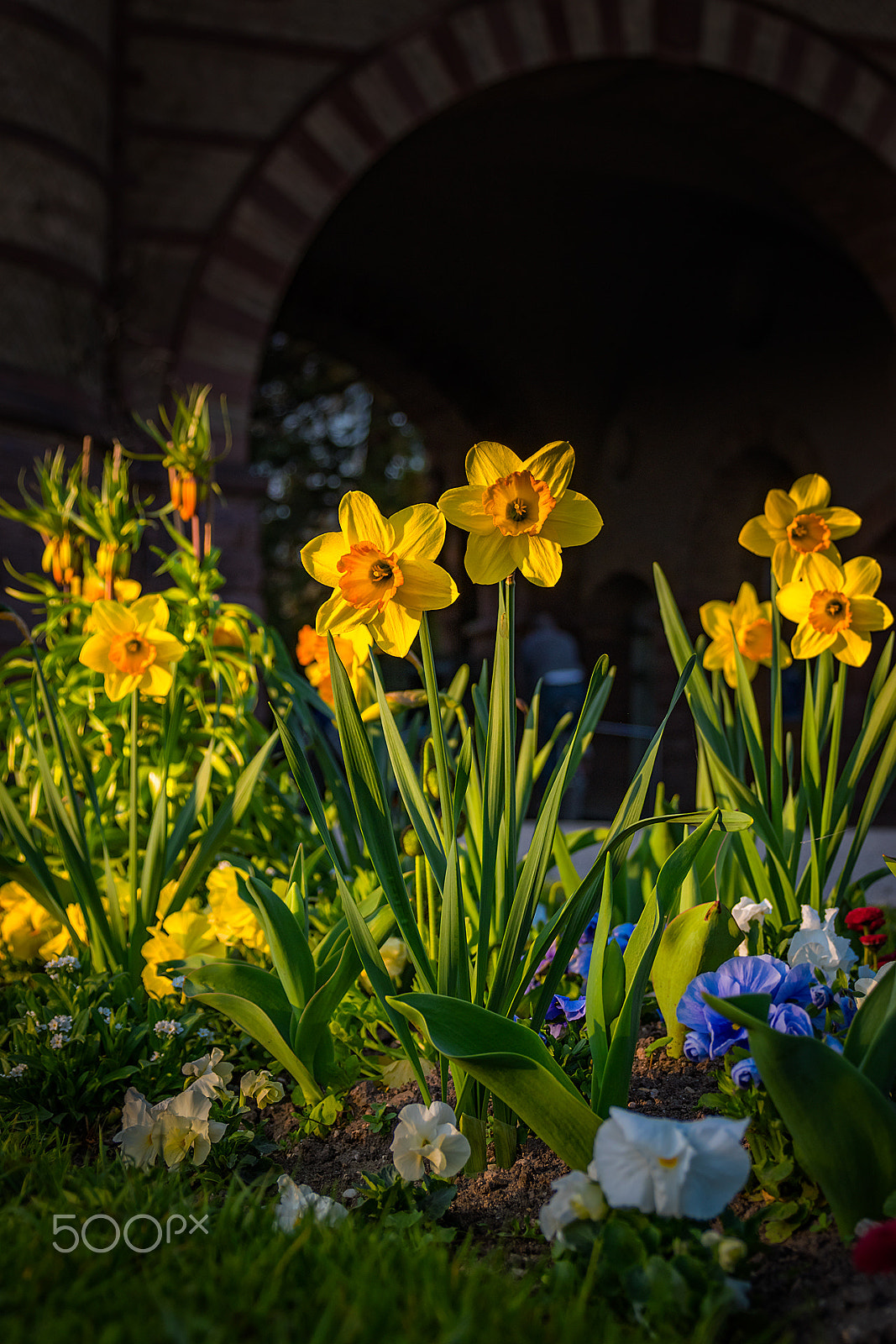 Nikon D5500 sample photo. Springtime photography