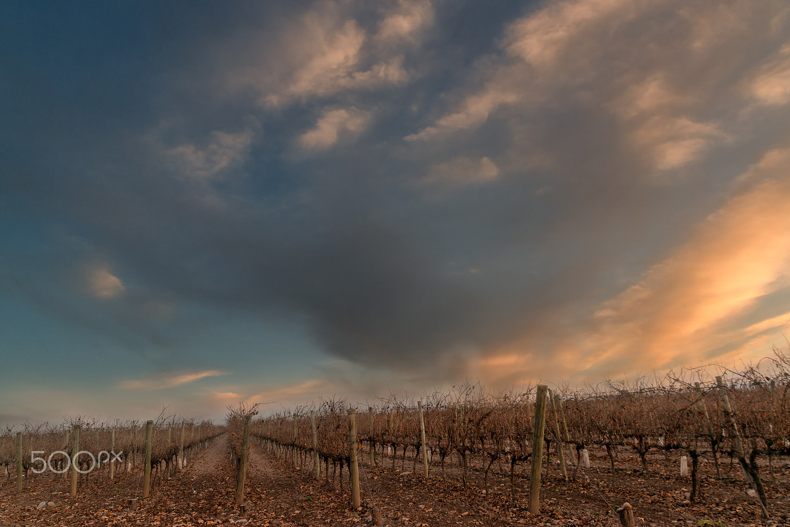 Tamron SP 24-70mm F2.8 Di VC USD sample photo. Roads lead to mendoza photography