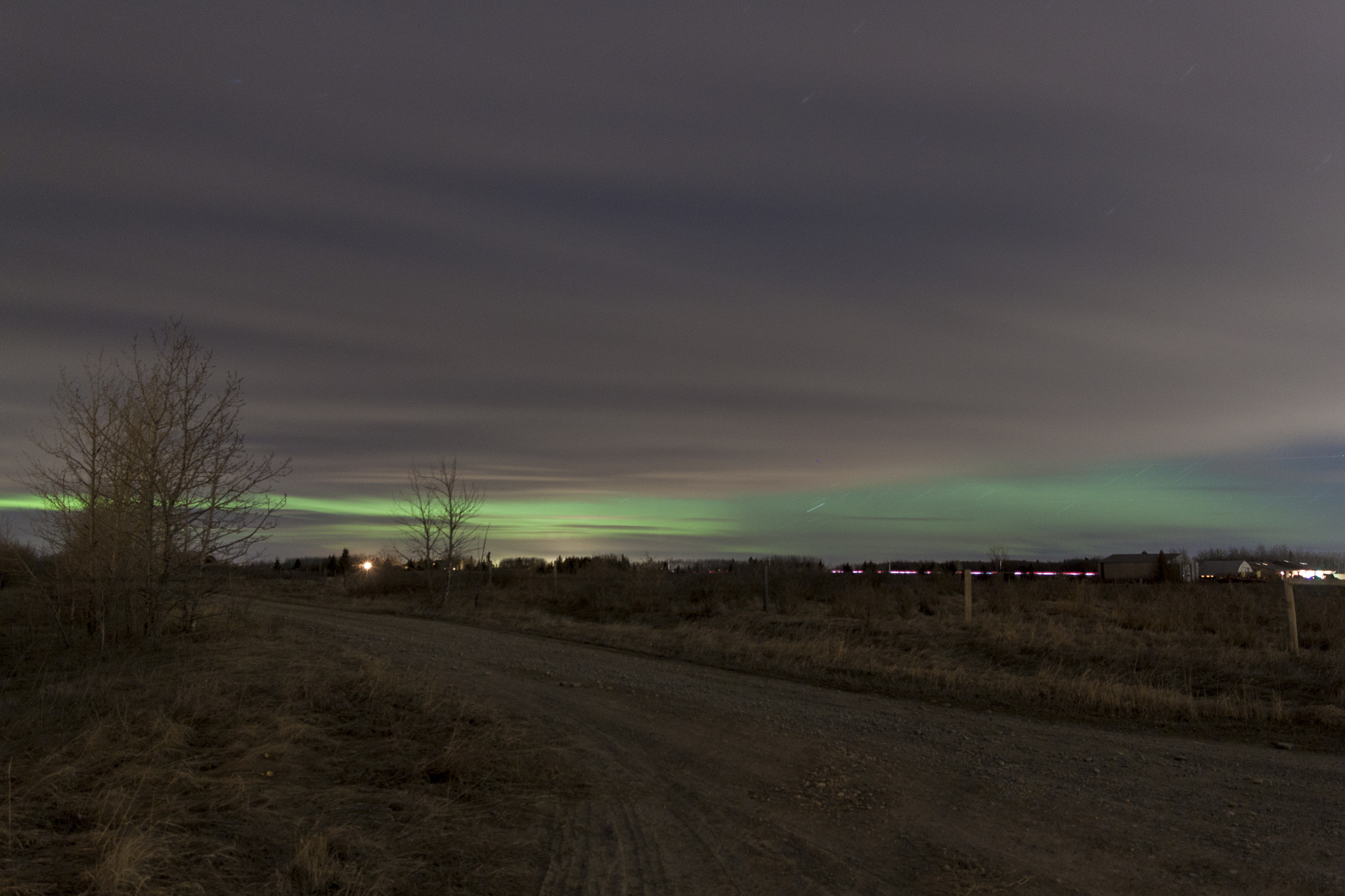 Canon EOS 500D (EOS Rebel T1i / EOS Kiss X3) sample photo. Wee bit of aurora photography