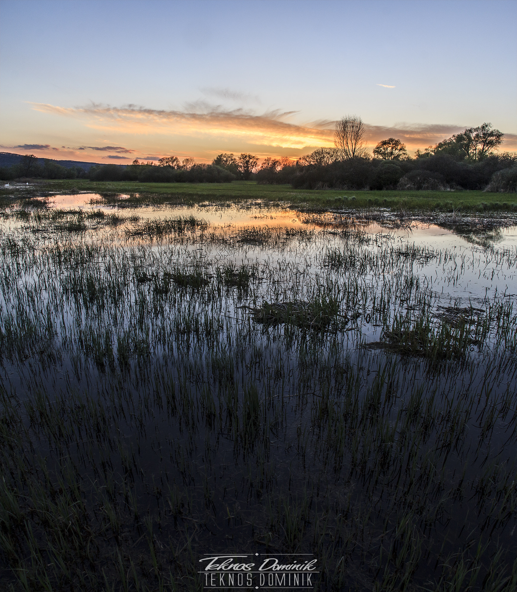 Sigma 18-200mm f/3.5-6.3 DC OS sample photo. Sunset ~hont photography
