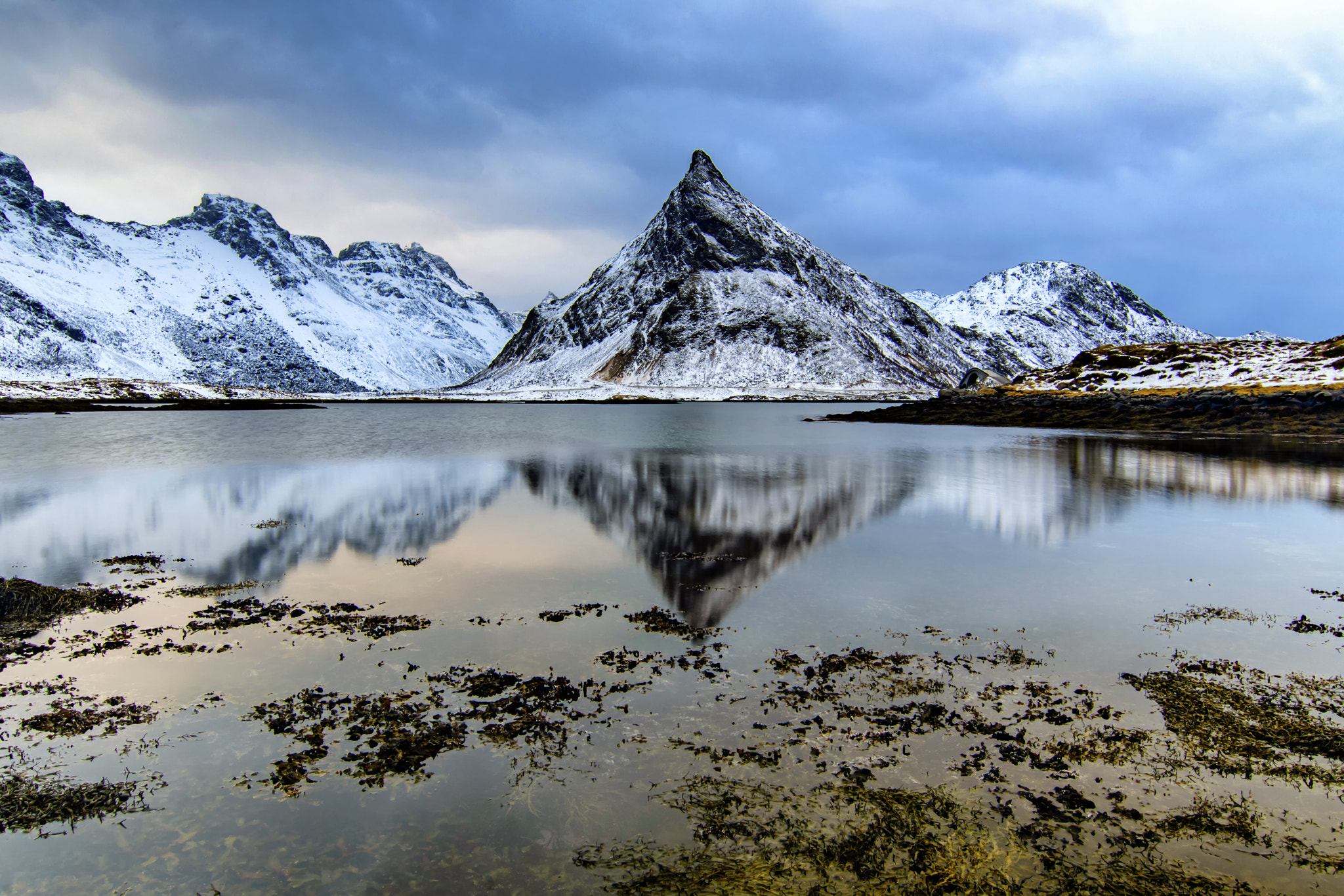 Nikon D500 sample photo. Il cervino delle lofoten photography