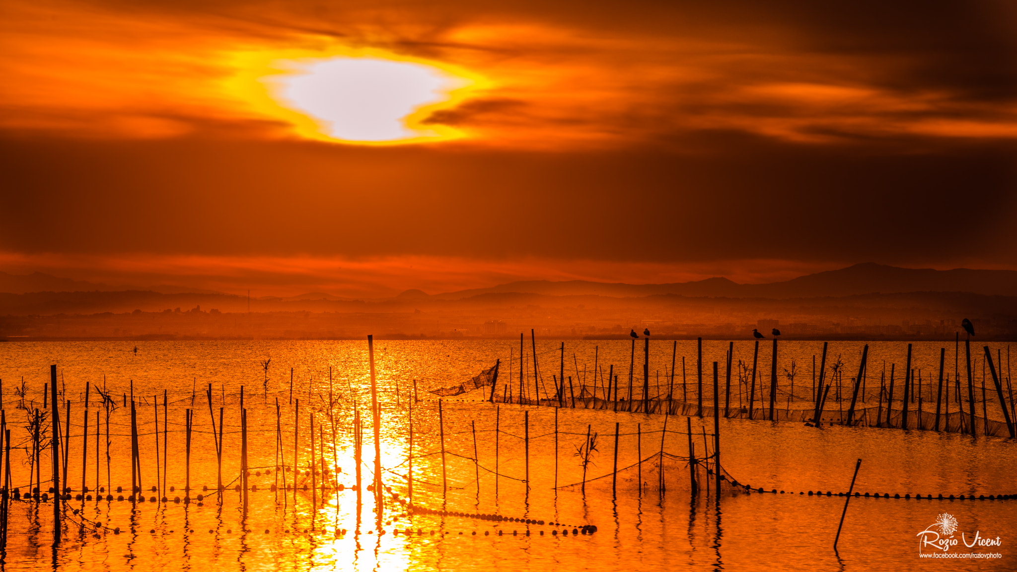 Nikon D7200 sample photo. The sun mirror photography