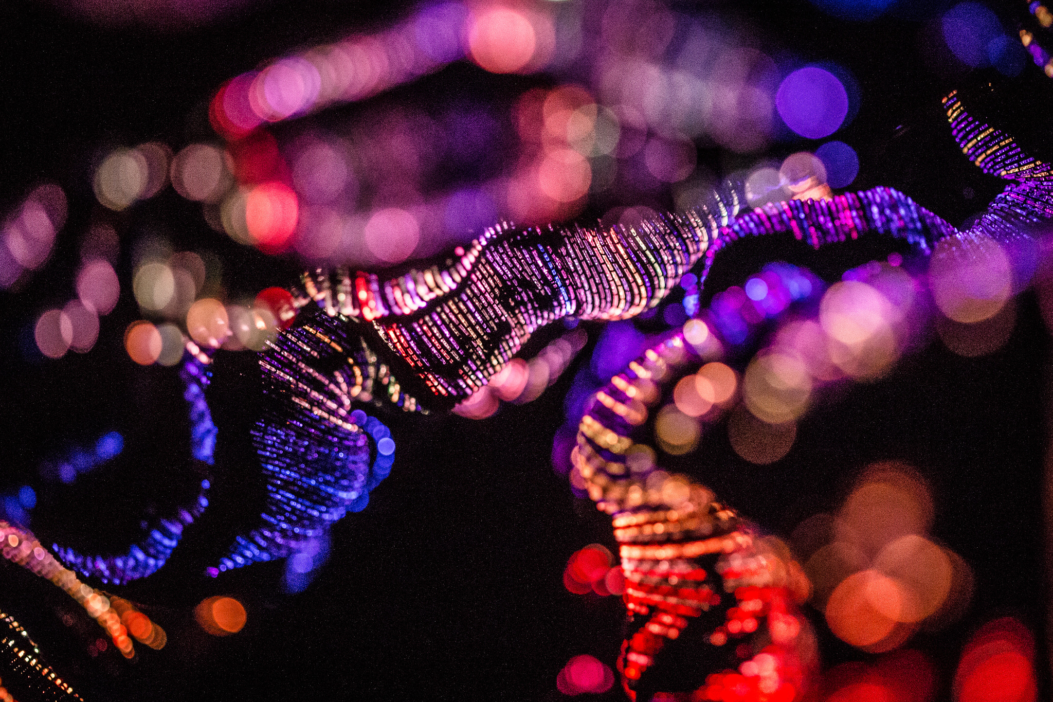 Canon EF 100mm F2.8 Macro USM sample photo. Luminous landscape ii photography