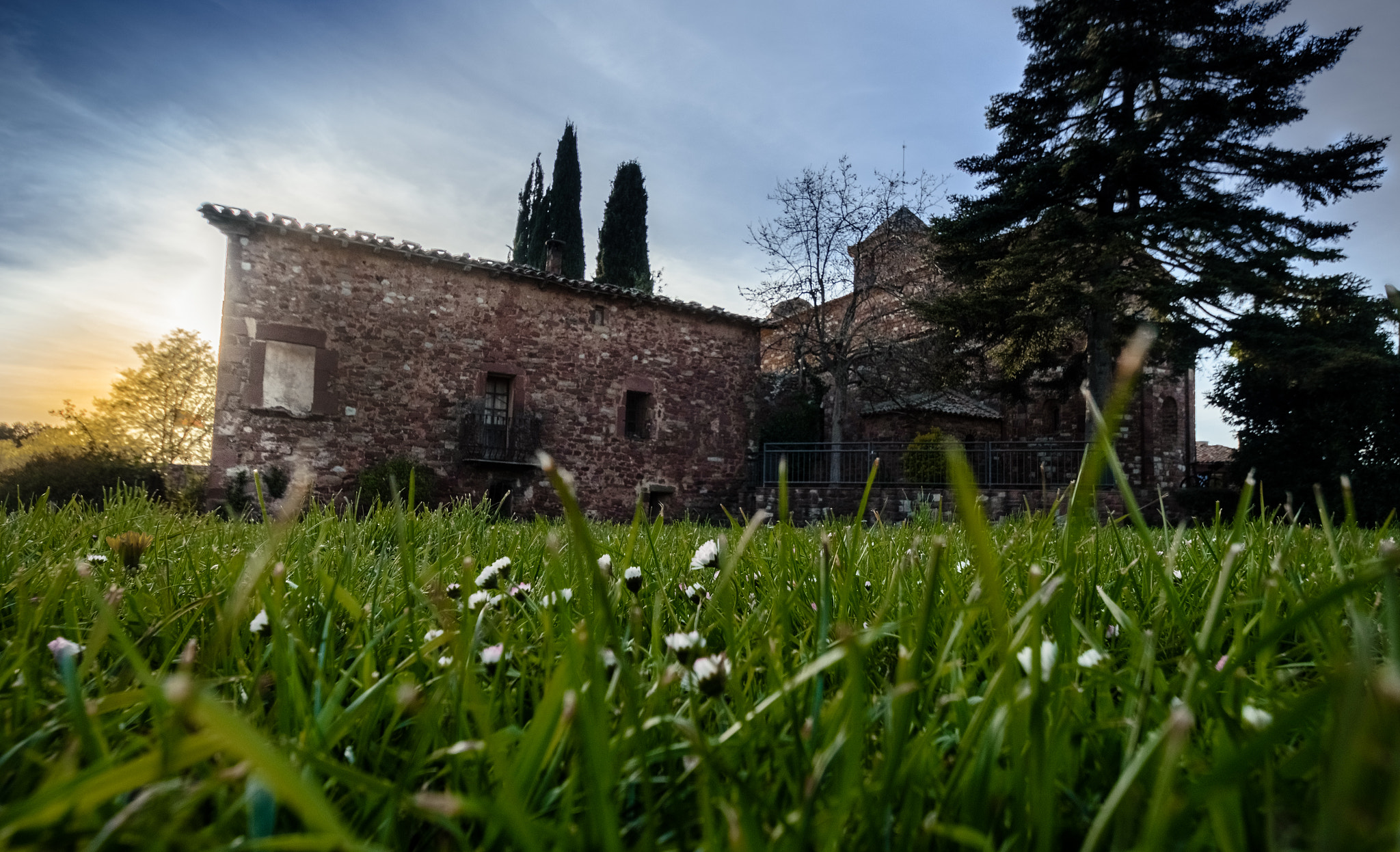 Nikon D7200 sample photo. Brull photography