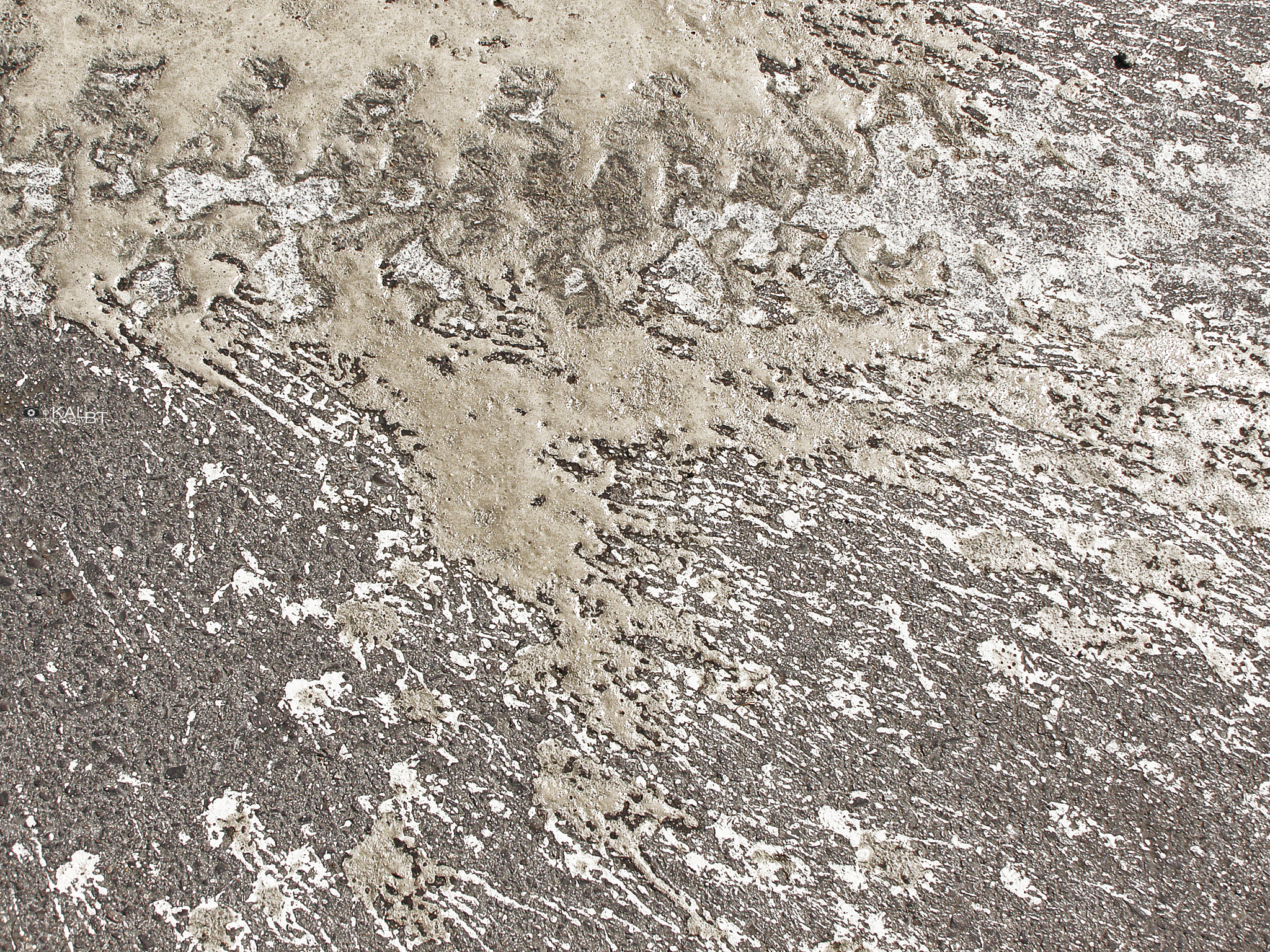 Olympus SP510UZ sample photo. Abstract (32) / gale over beach photography