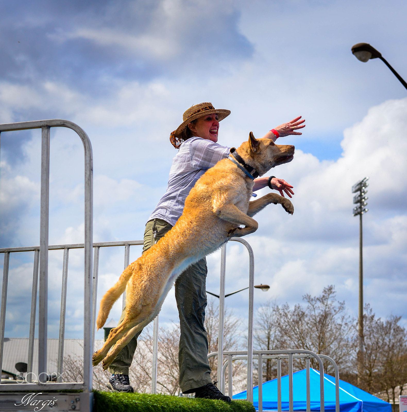 Nikon D610 sample photo. Jumping dog photography