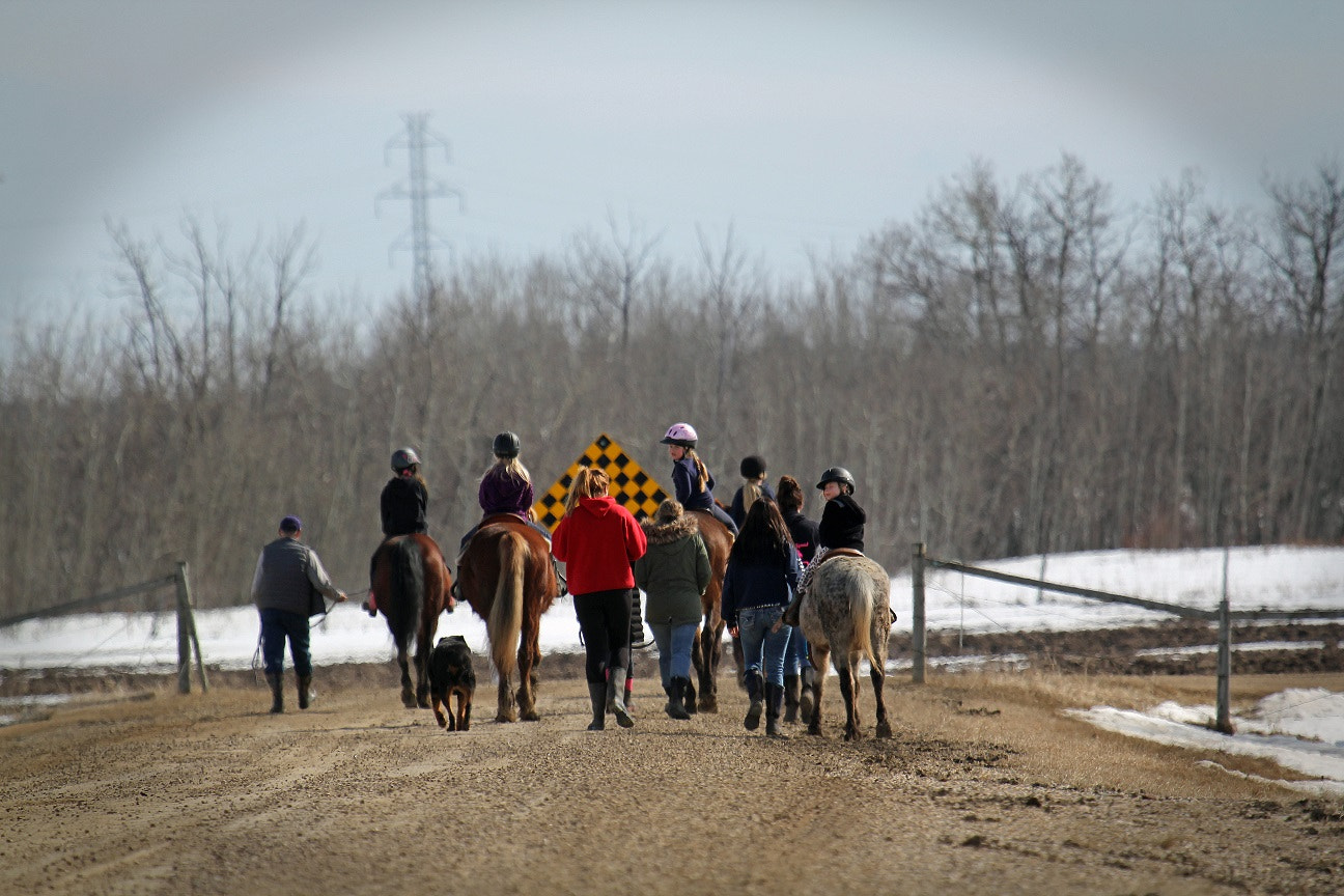 Canon EOS 60D + Canon EF 100-400mm F4.5-5.6L IS USM sample photo. Kids horse camp photography