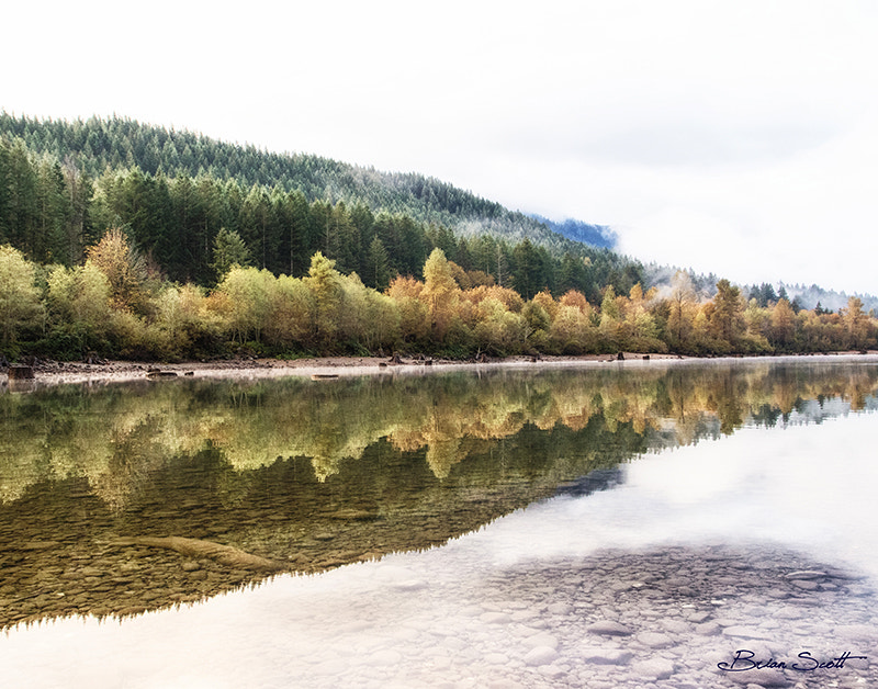 Canon EF 17-40mm F4L USM sample photo. Reflections on the rattlesnake photography