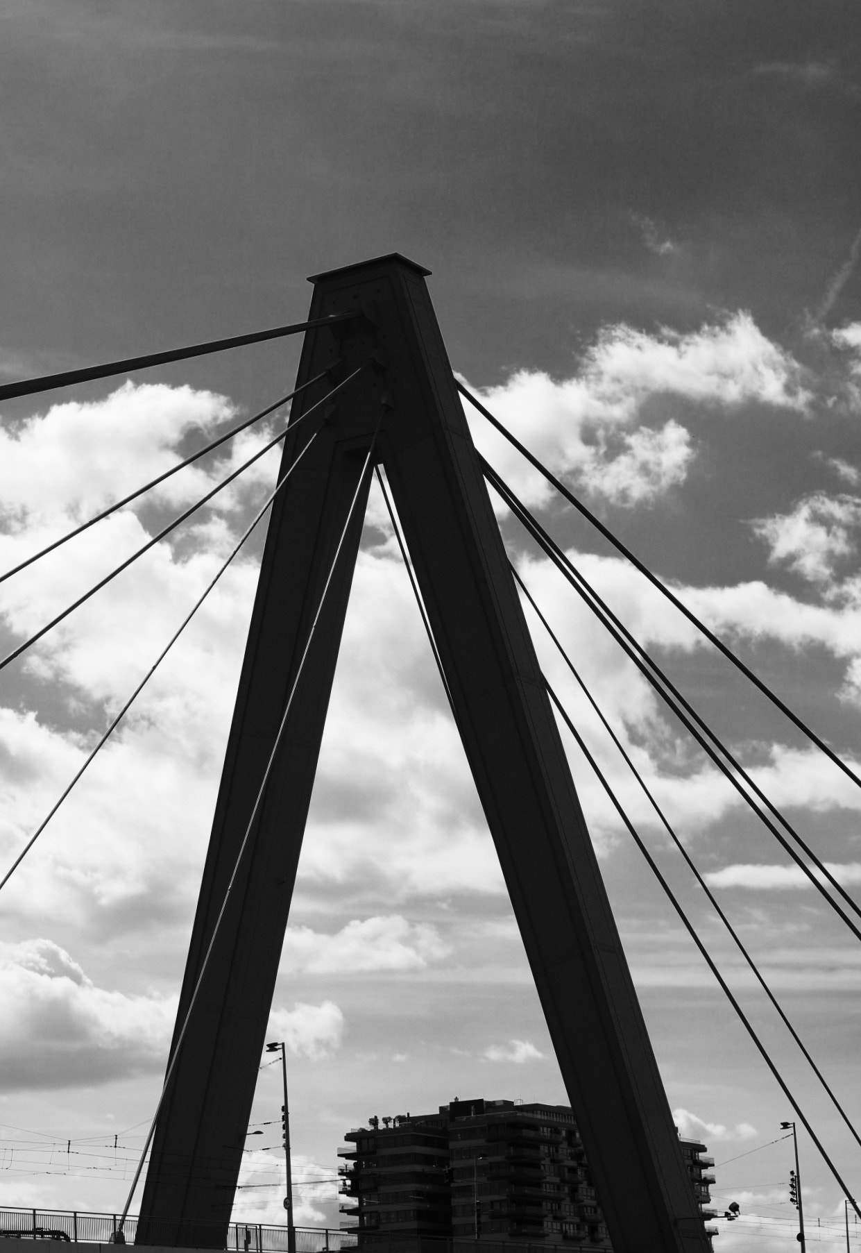 Canon EOS 760D (EOS Rebel T6s / EOS 8000D) + Canon EF 50mm F1.4 USM sample photo. Black and white bridge photography
