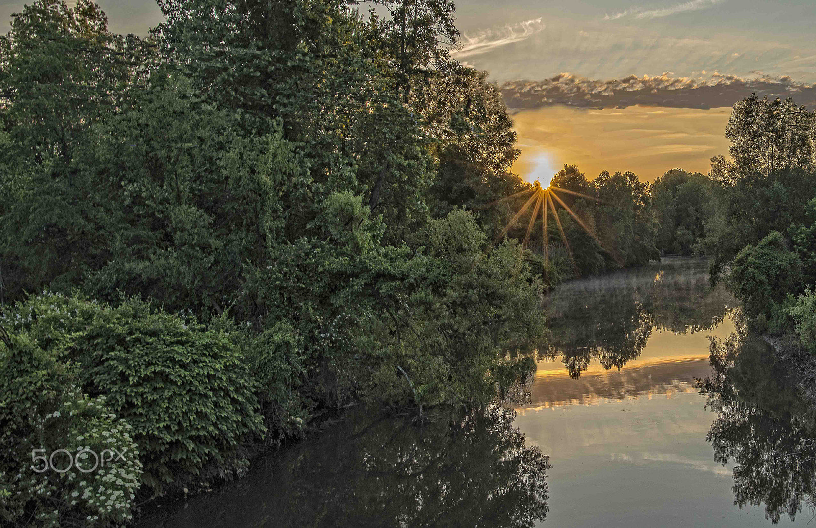 Nikon D800E + Nikon AF-S Nikkor 20mm F1.8G ED sample photo. Whippany river sunrise photography