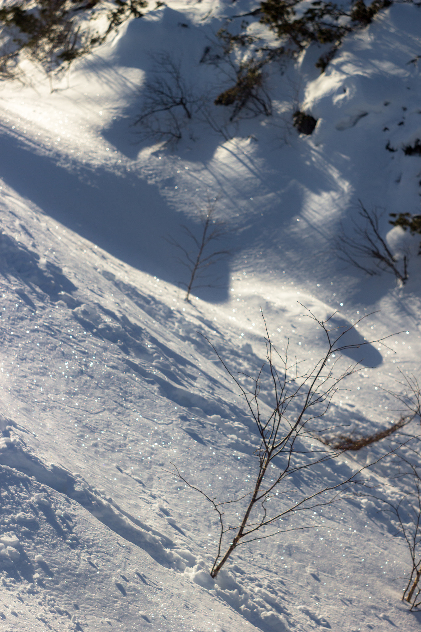 Canon EF 35-80mm f/4-5.6 sample photo