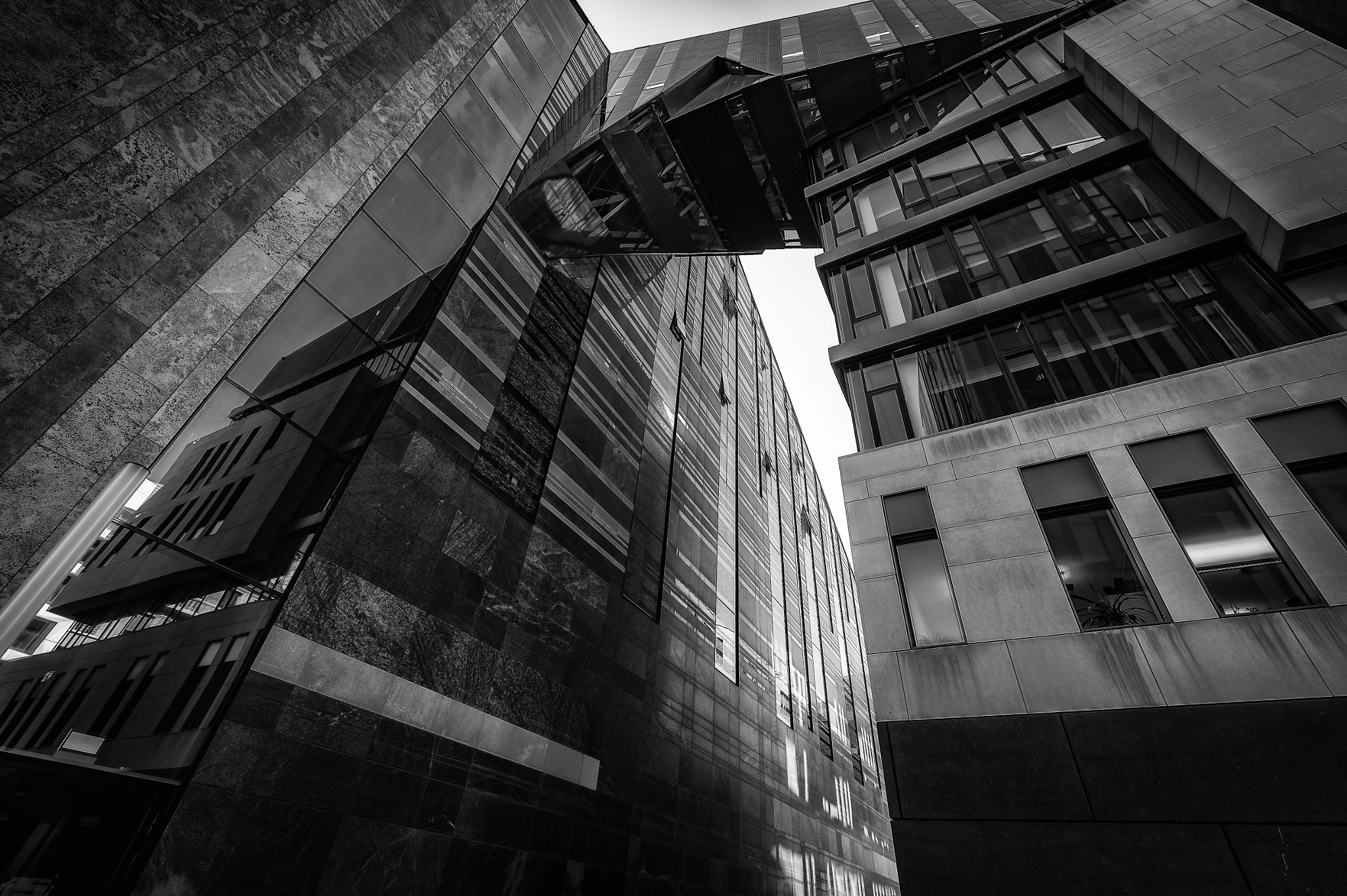Nikon AF-S Nikkor 14-24mm F2.8G ED sample photo. From below photography