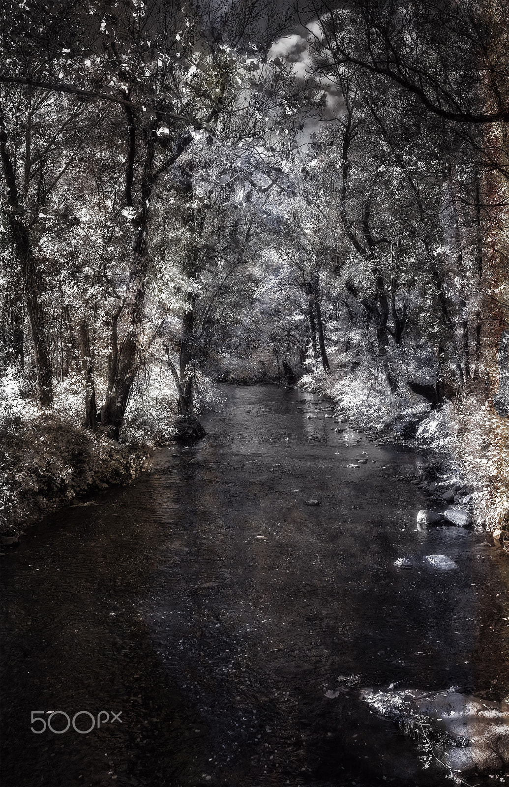 Nikon AF-S Nikkor 16-35mm F4G ED VR sample photo. Whippany river photography