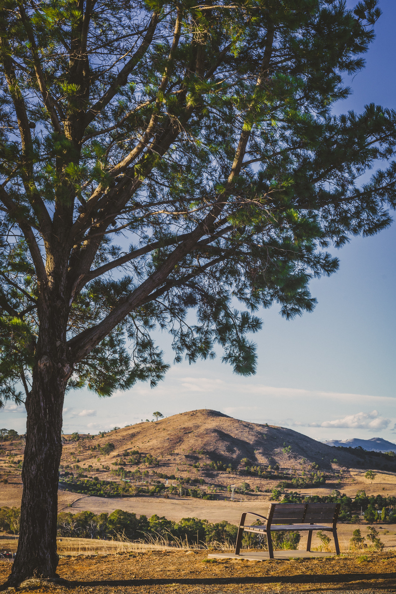 Nikon AF Nikkor 50mm F1.8D sample photo. View from dairy farmer's hill photography