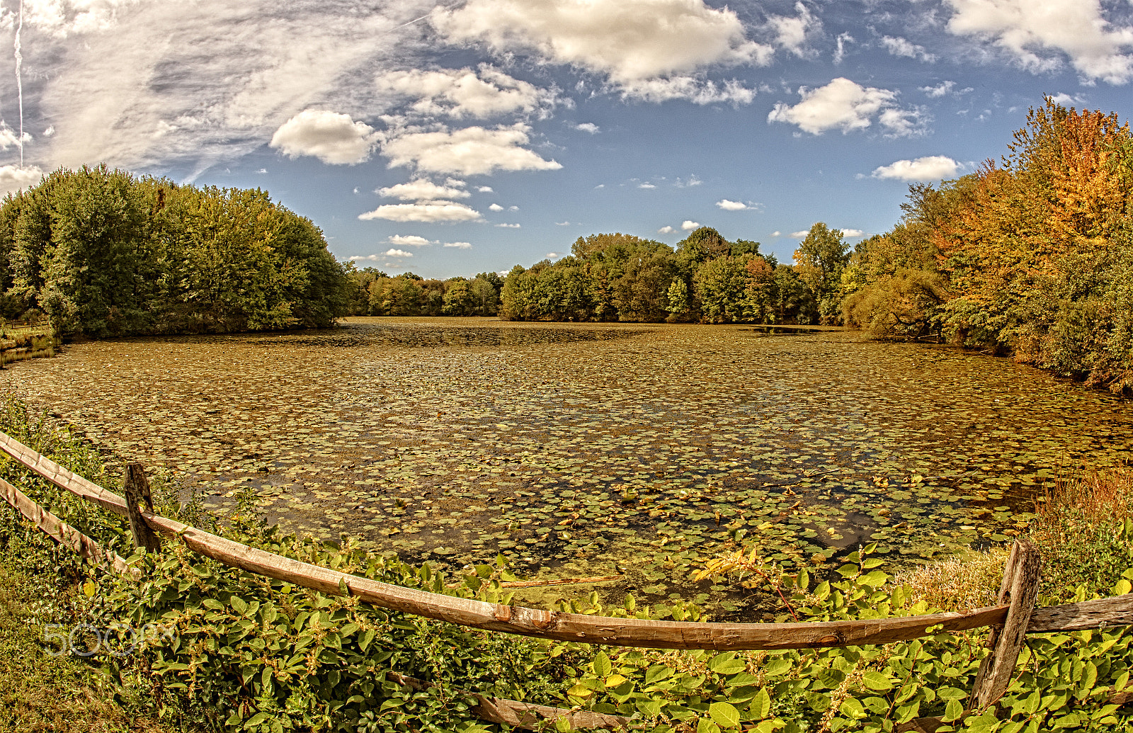 Nikon D800 sample photo. Stonybrook pond photography