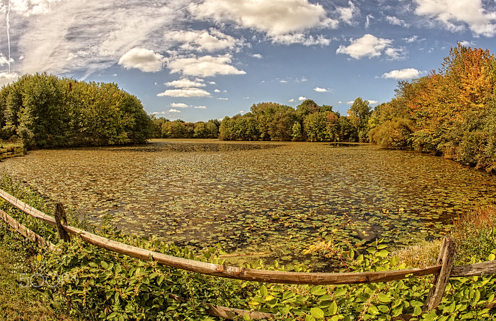 Nikon D800 + Nikon AF Fisheye-Nikkor 16mm F2.8D sample photo. Stonybrook pond photography