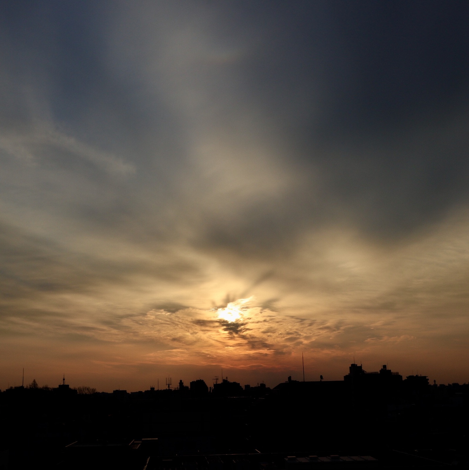 Canon EF-M 11-22mm F4-5.6 IS STM sample photo. Flower cloudy weather photography