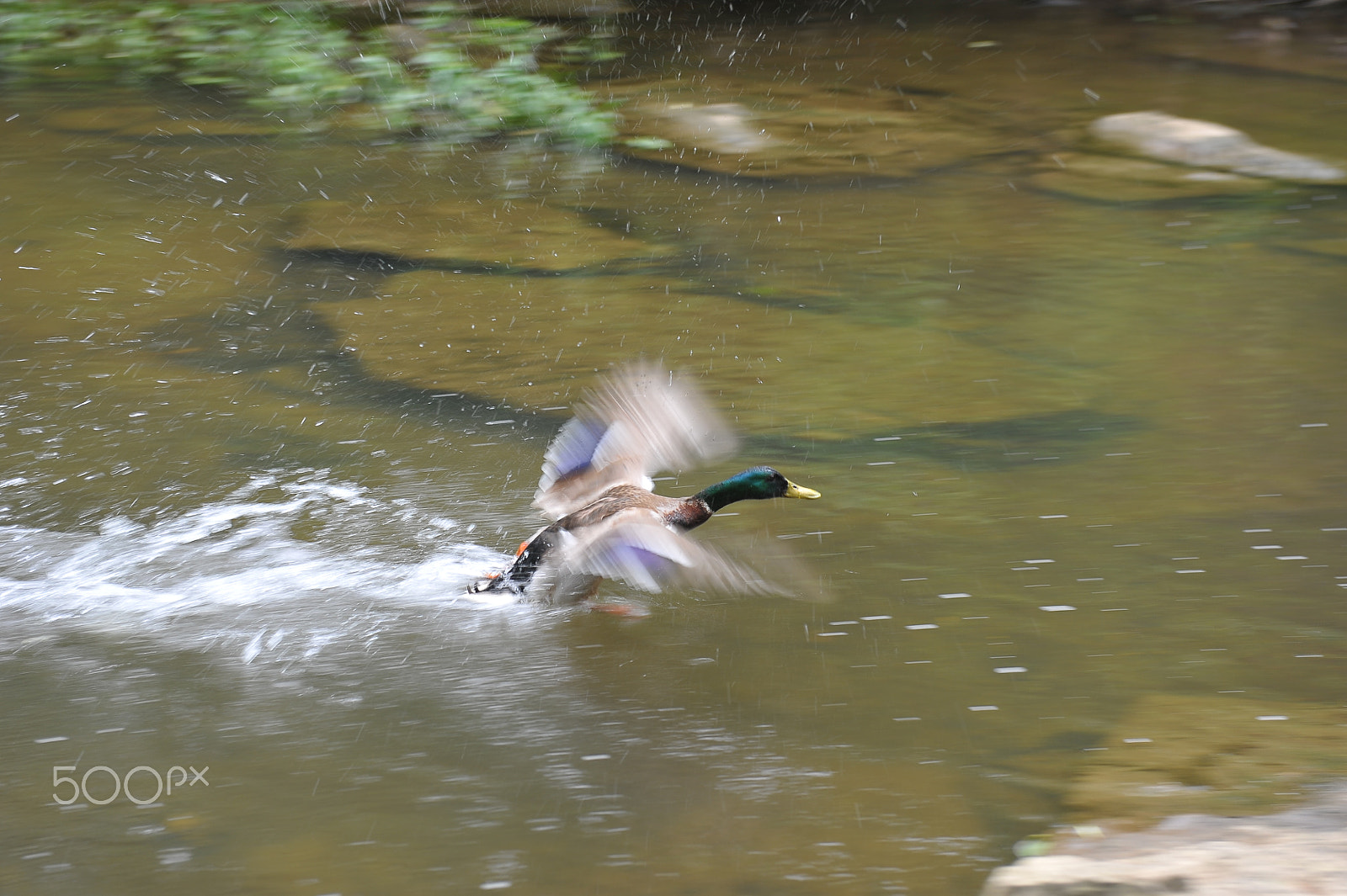 Nikon AF-S Nikkor 24-70mm F2.8G ED sample photo. Dsc photography