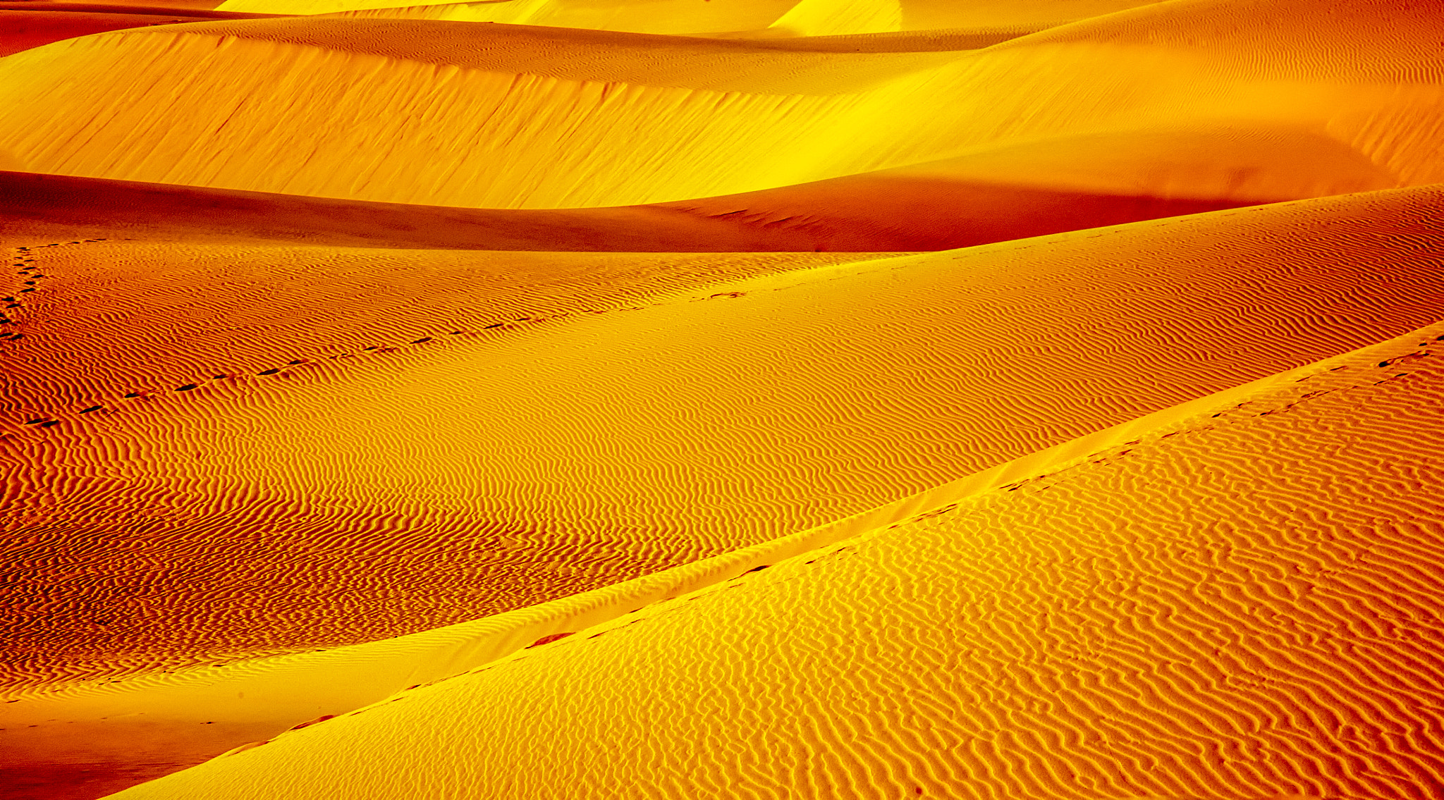 Canon EOS 5D + Canon EF 28-135mm F3.5-5.6 IS USM sample photo. Sands of gold photography