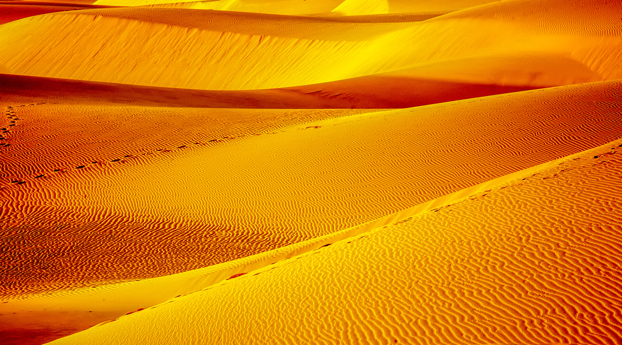 Canon EF 28-135mm F3.5-5.6 IS USM sample photo. Sands of gold photography