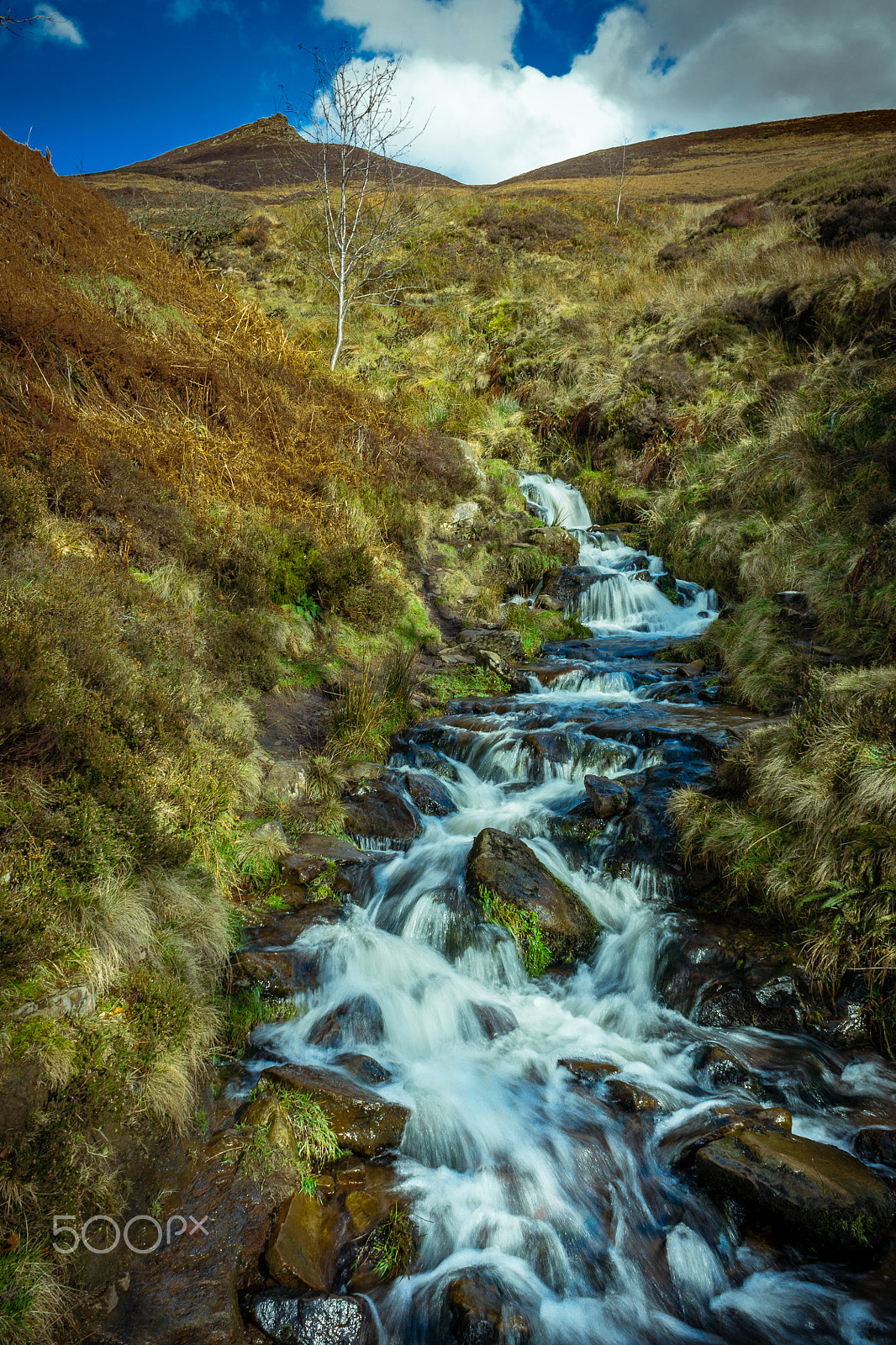 Canon EOS 450D (EOS Rebel XSi / EOS Kiss X2) sample photo. Moorland stream photography