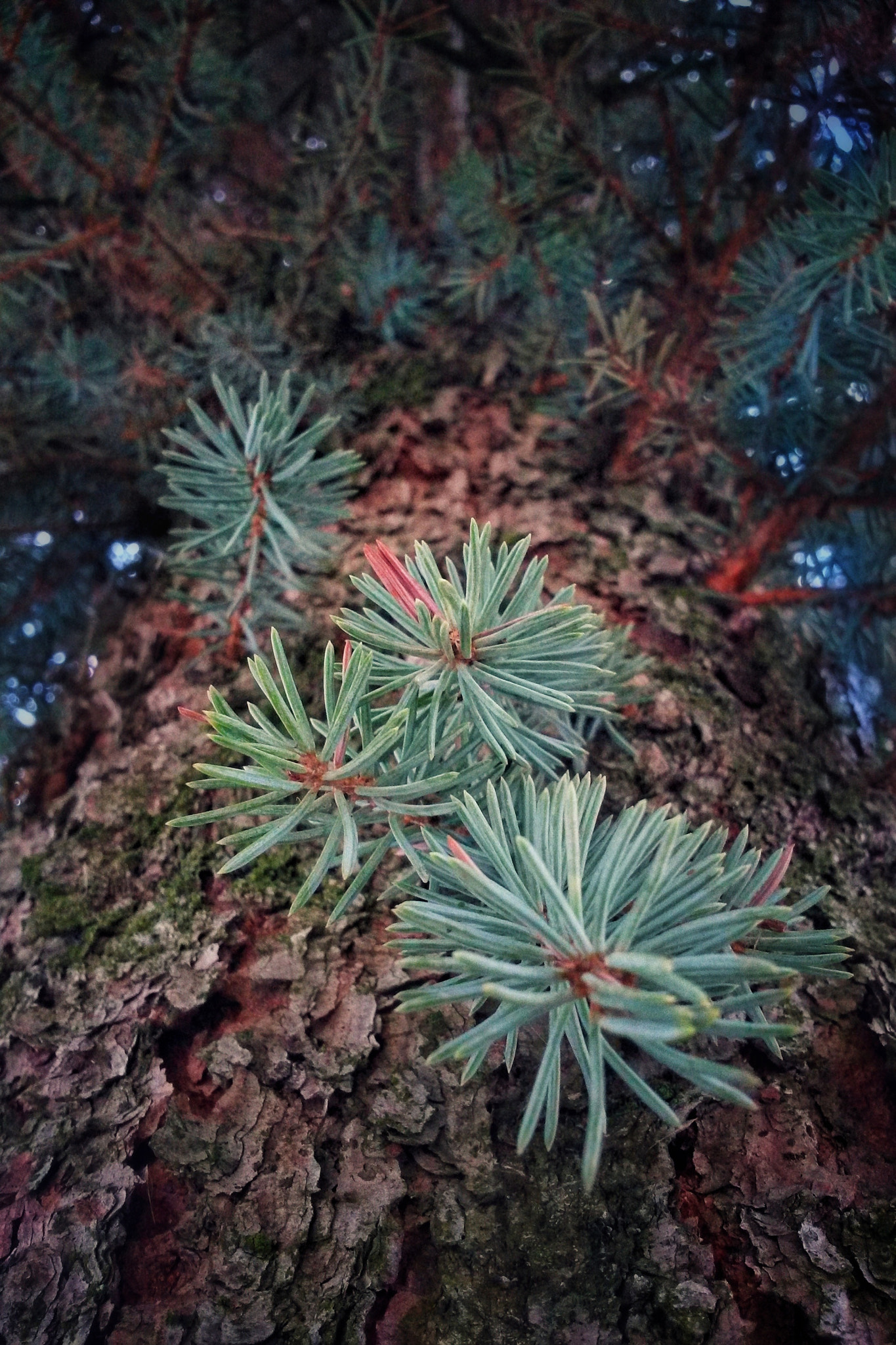 Samsung Galaxy S4 Active sample photo