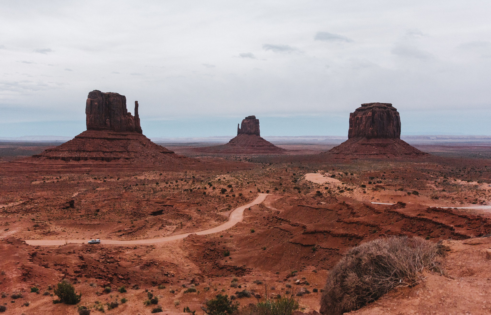 Nikon D7100 + Sigma 18-35mm F1.8 DC HSM Art sample photo. The mittens photography