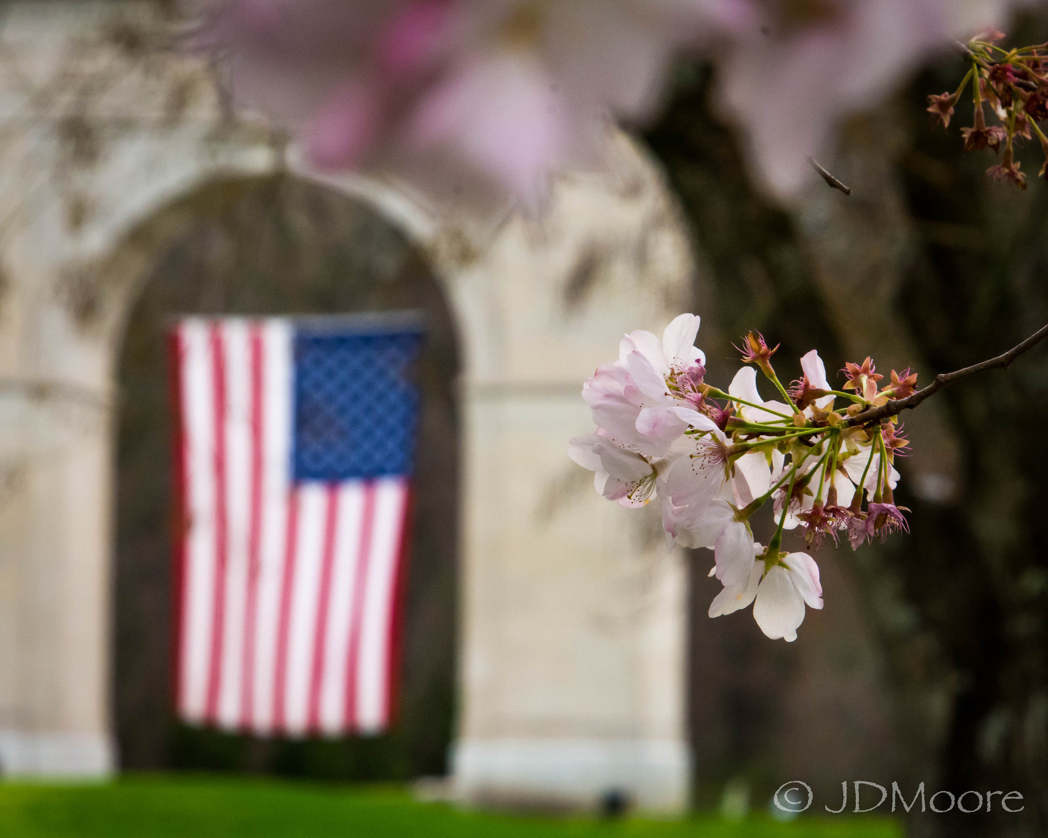 Nikon D7200 sample photo. Spring time photography