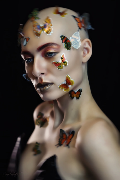 Sony SLT-A77 + Sony DT 50mm F1.8 SAM sample photo. Butterflies photography