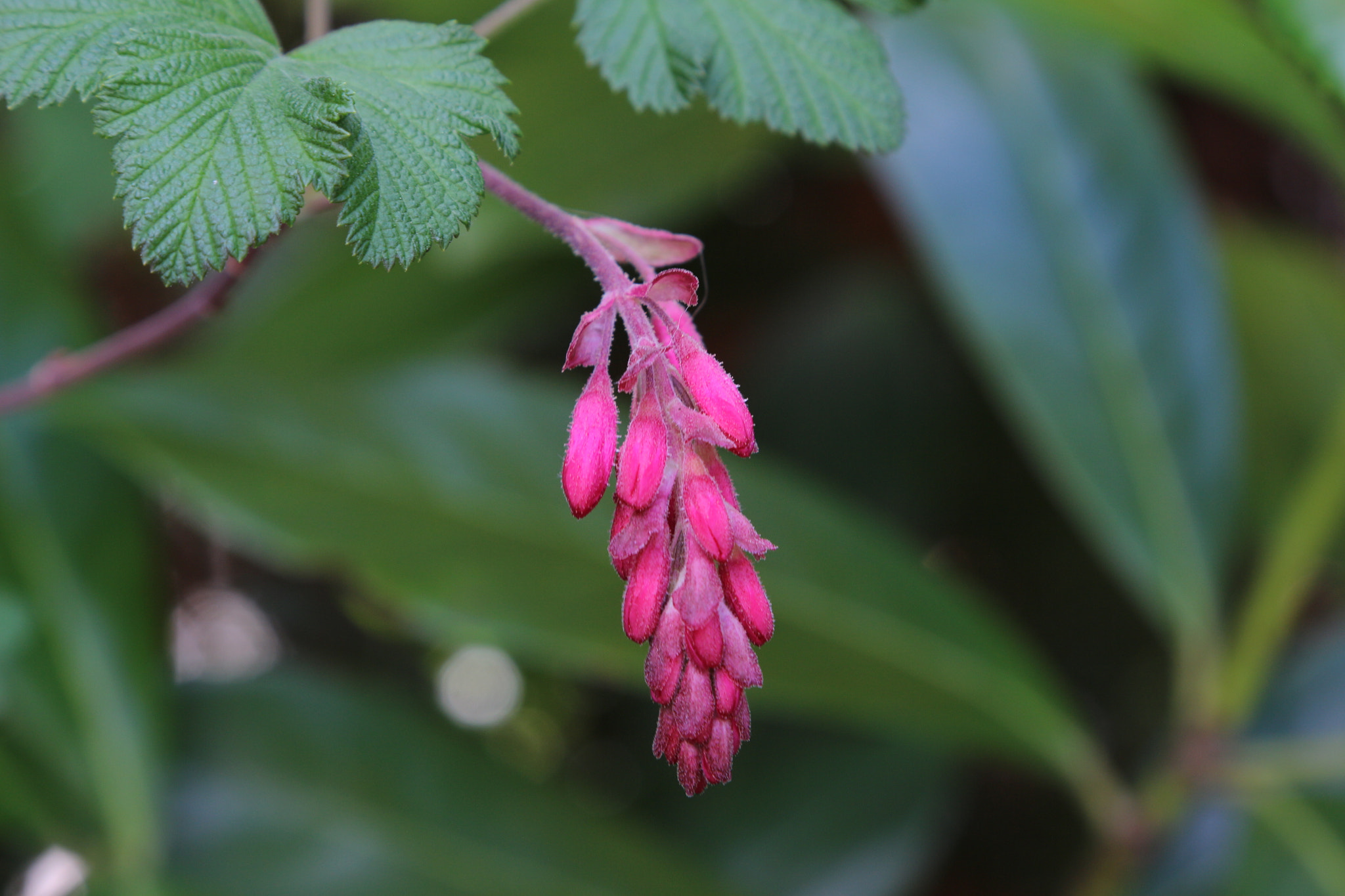 Canon EOS 700D (EOS Rebel T5i / EOS Kiss X7i) + Canon EF 24-105mm F4L IS USM sample photo