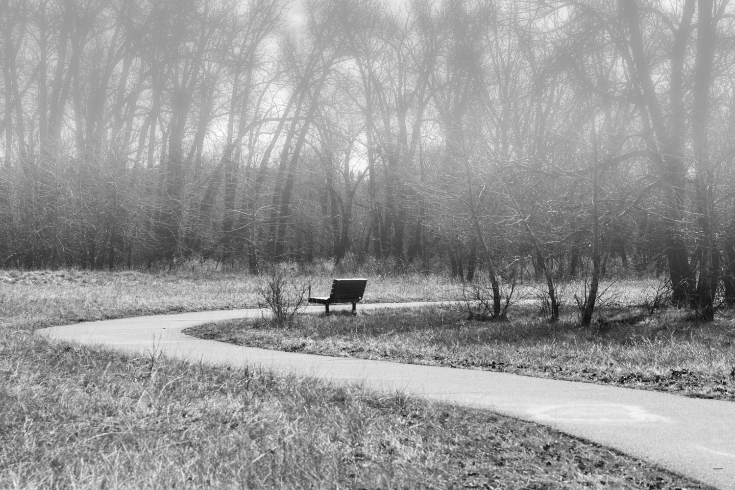 Canon EOS 7D sample photo. A lone bench photography