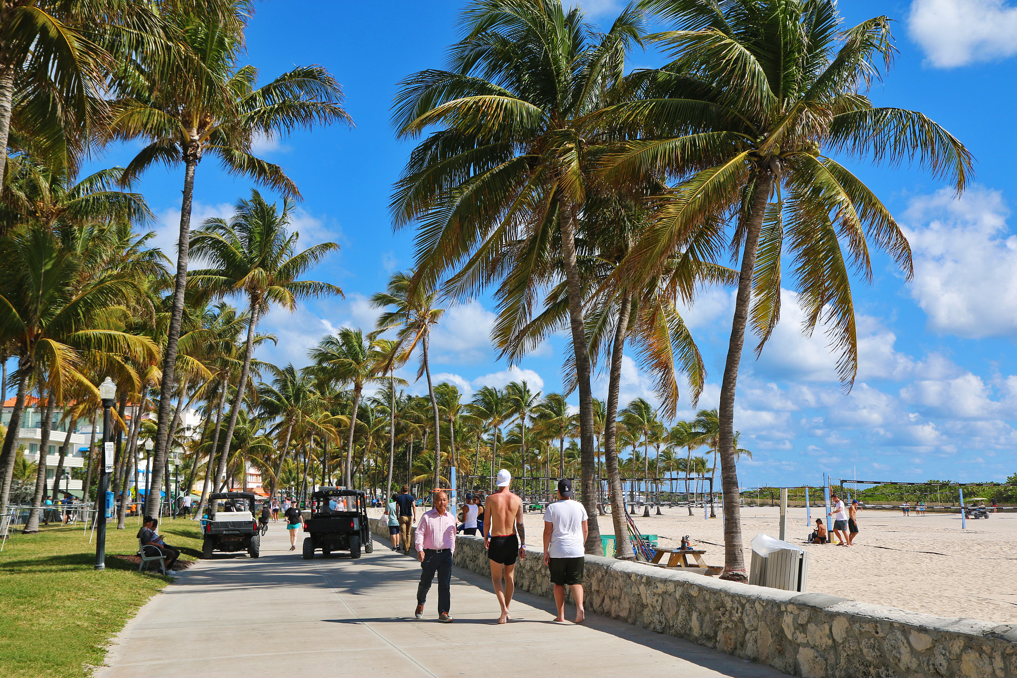 Canon EF-S 17-55mm F2.8 IS USM sample photo. Lummus park miami beach photography