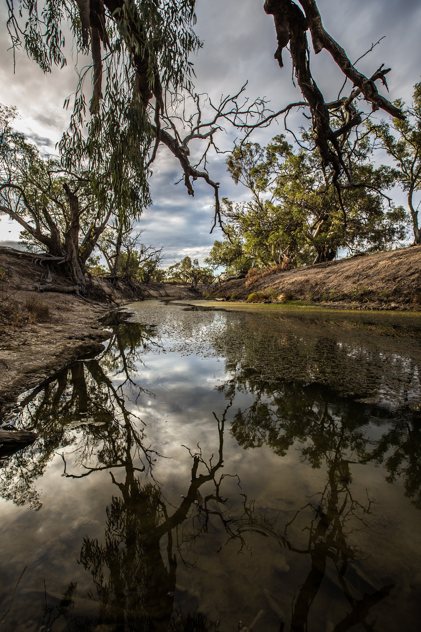 Canon EF 16-35mm F2.8L II USM sample photo. Darling river tributary photography