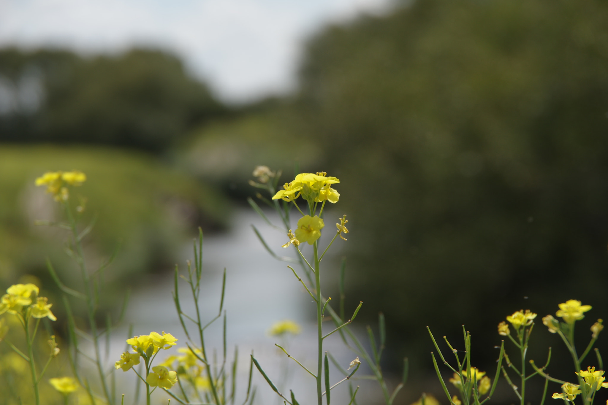 Pentax K-3 sample photo. Imgp photography