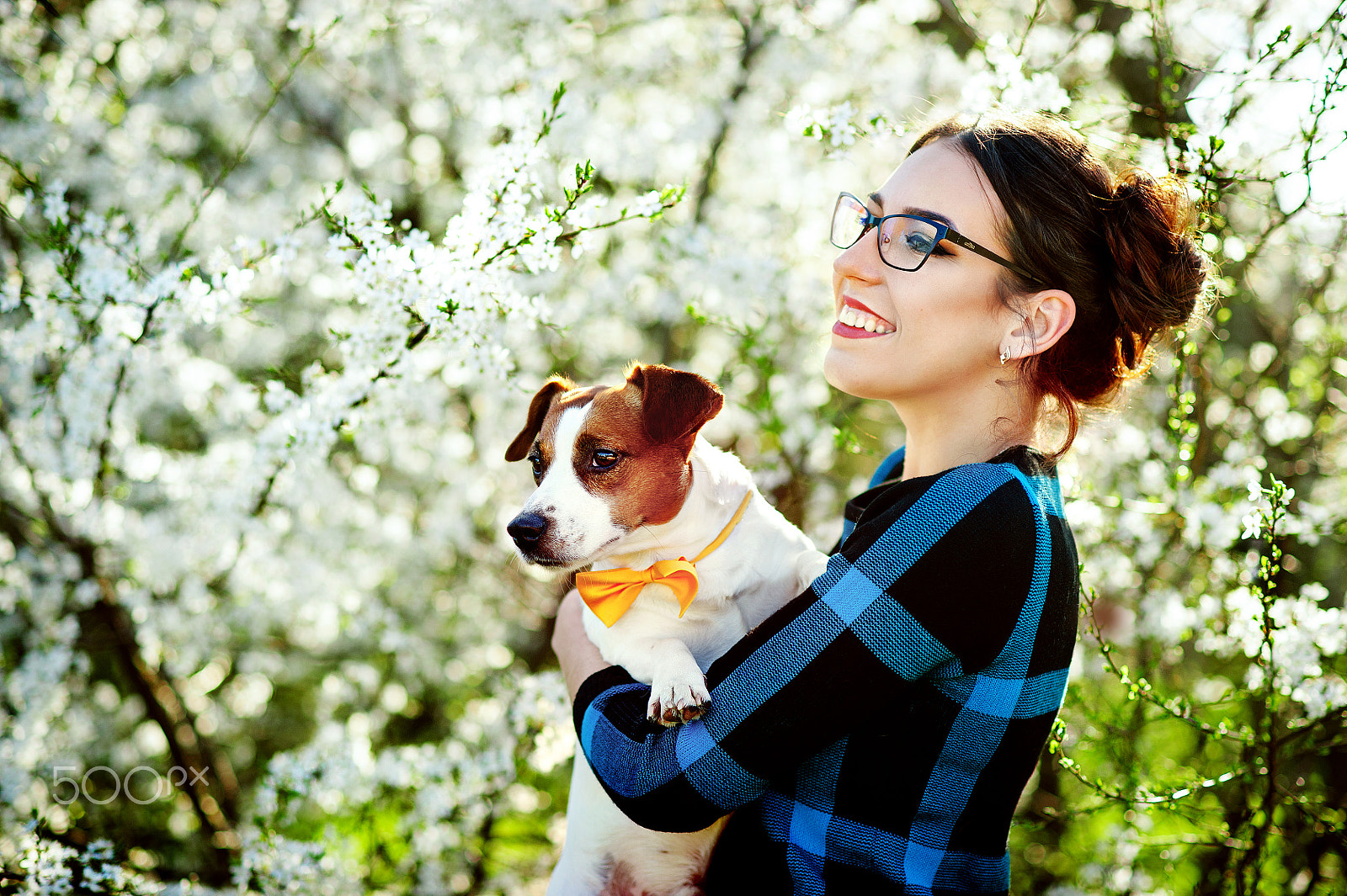 Nikon D700 + Nikon AF Nikkor 85mm F1.8D sample photo. Young beautiful woman smiling and holding a dog jack russell terrier in the hands on a background... photography