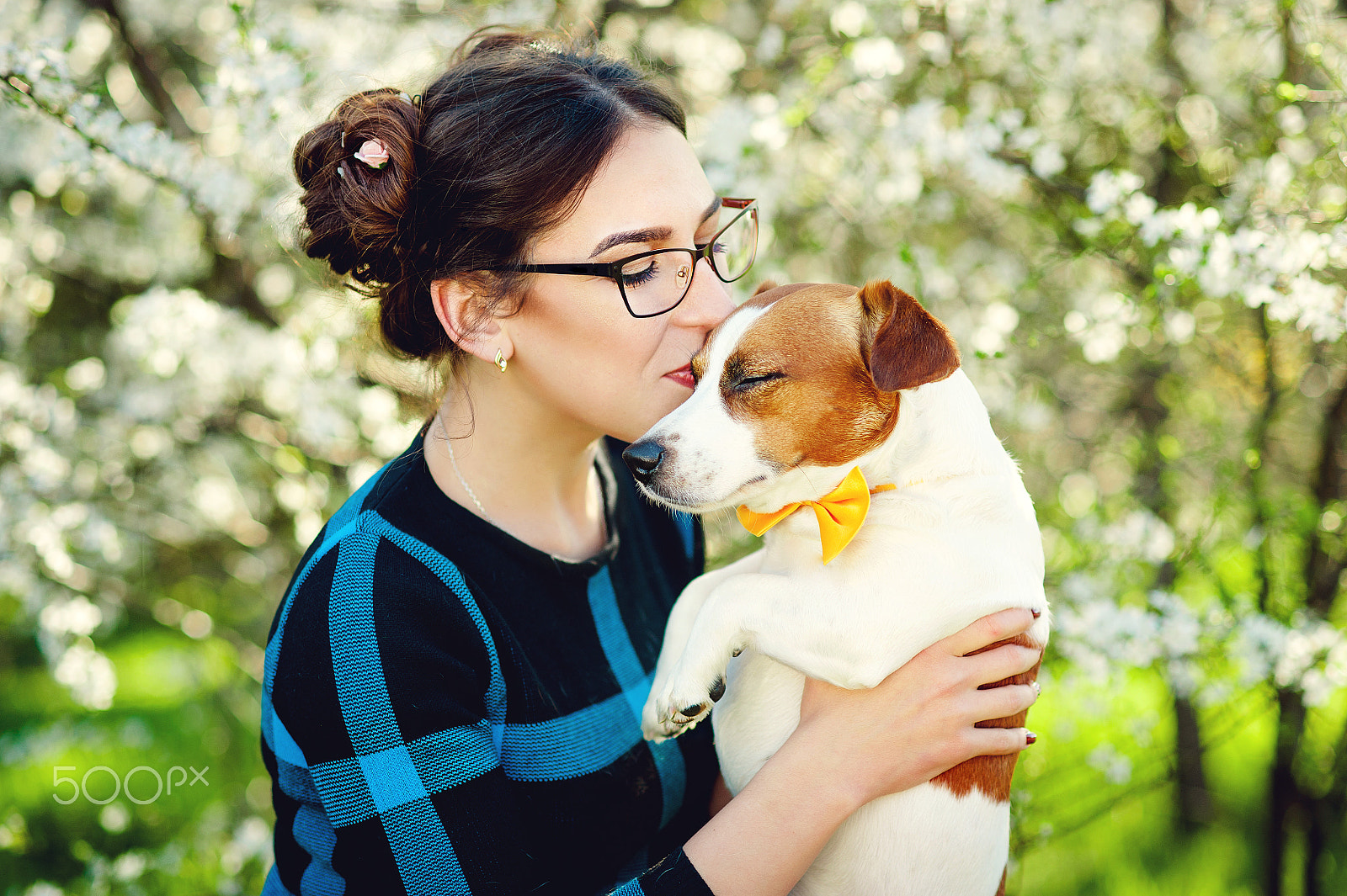 Nikon D700 + Nikon AF Nikkor 85mm F1.8D sample photo. Young beautiful woman kisses her beloved pet dog jack russell terrier on a background of spring... photography