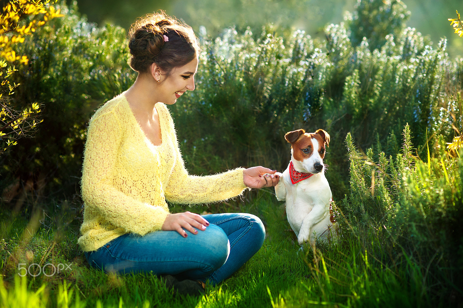Nikon D700 + Nikon AF Nikkor 85mm F1.8D sample photo. Young beautiful woman holds a hand over the pet dog's paw on a background of spring trees photography