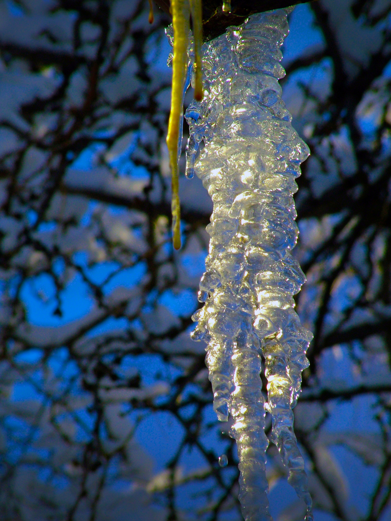 Fujifilm FinePix S7000 sample photo. A very cold day photography