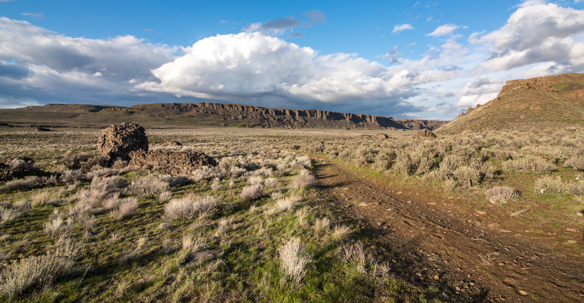 Tokina AT-X 16-28mm F2.8 Pro FX sample photo. Take this road... photography