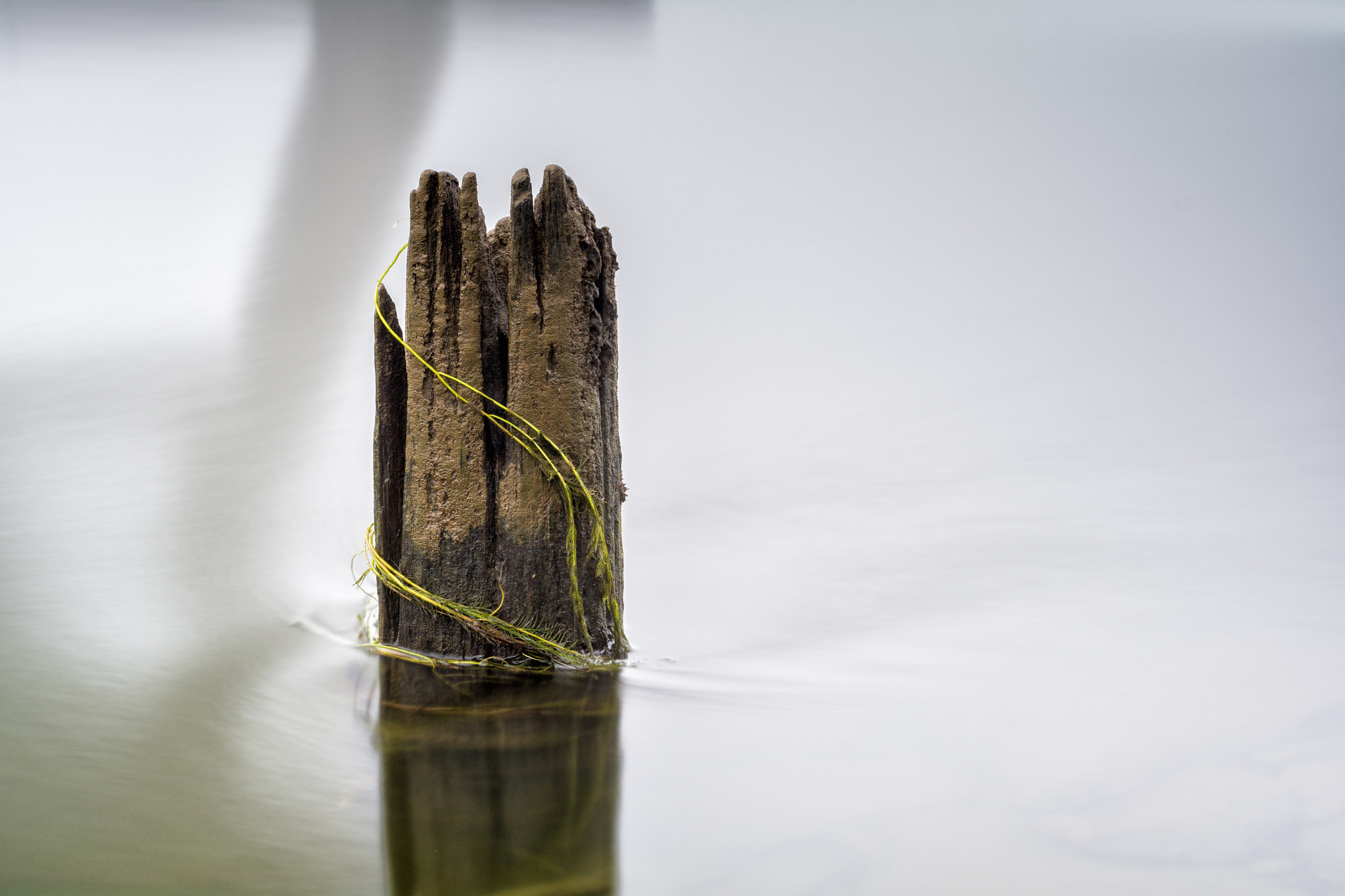 Nikon D7100 + Nikon AF-S Nikkor 50mm F1.8G sample photo. Adornados soportales photography