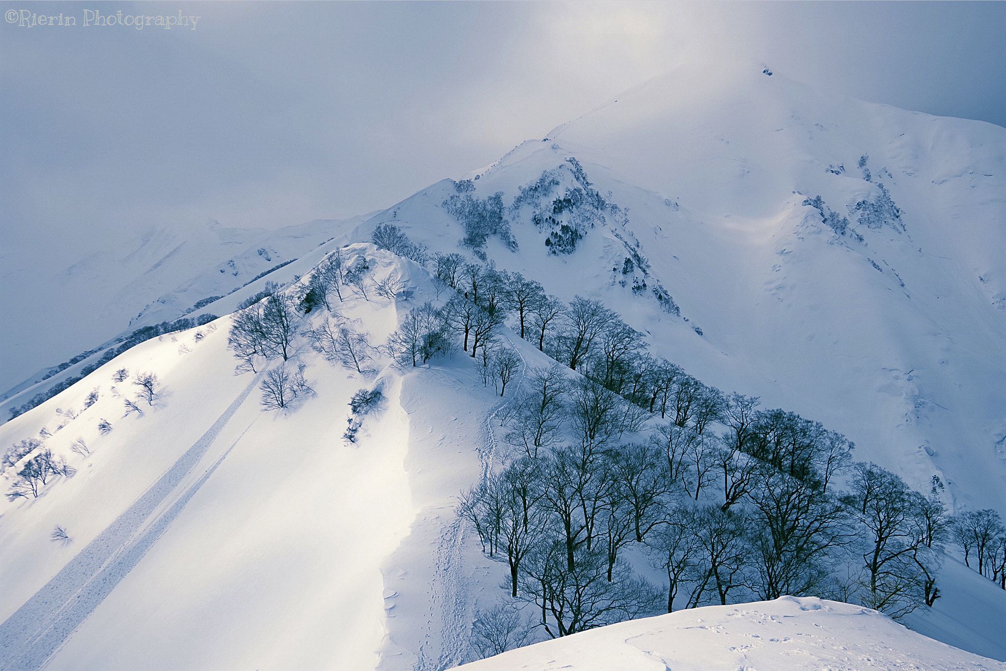 Pentax K-1 sample photo. Mt.tanigawa, gunma photography