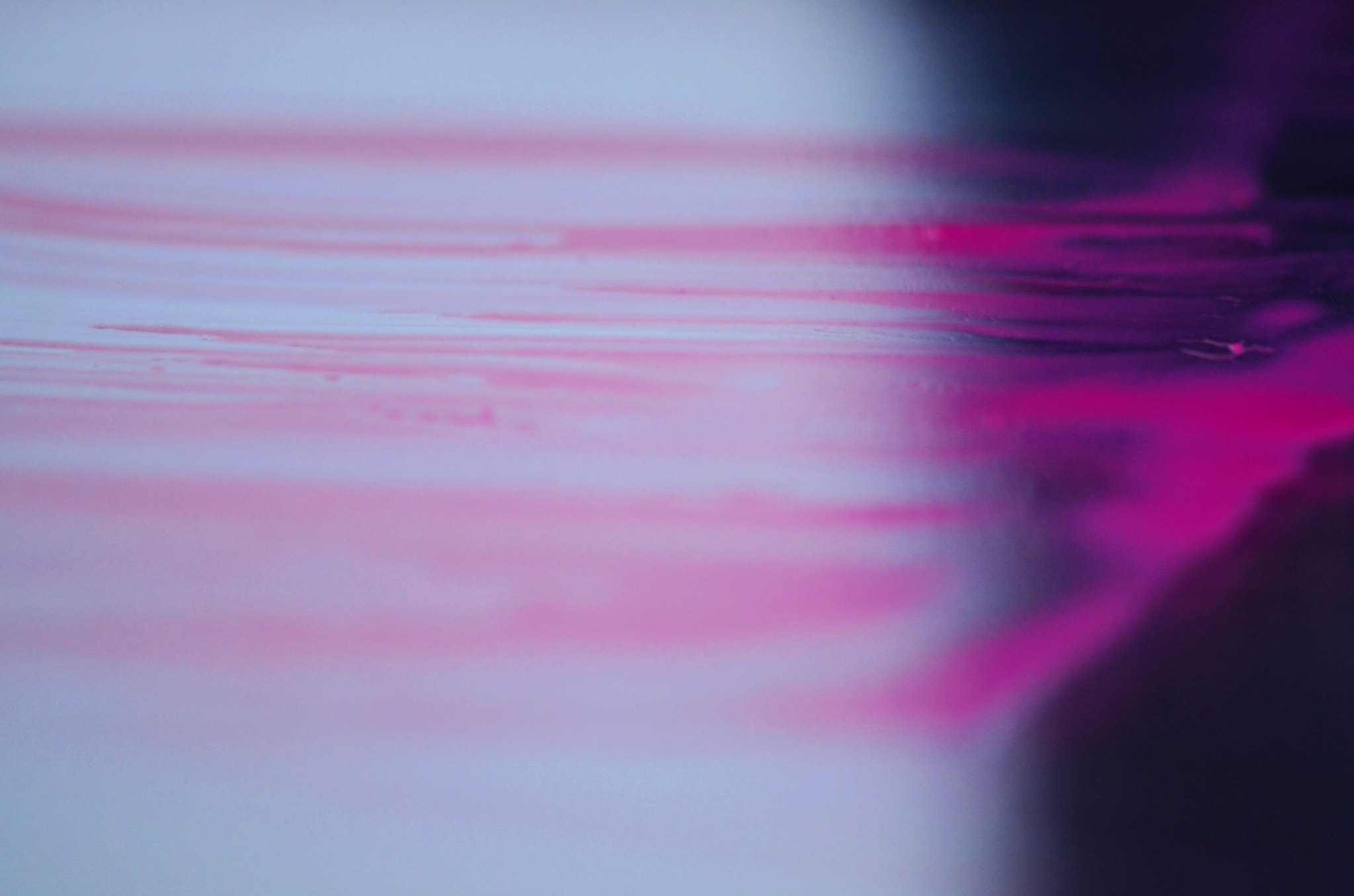 Nikon AF-S Micro-Nikkor 105mm F2.8G IF-ED VR sample photo