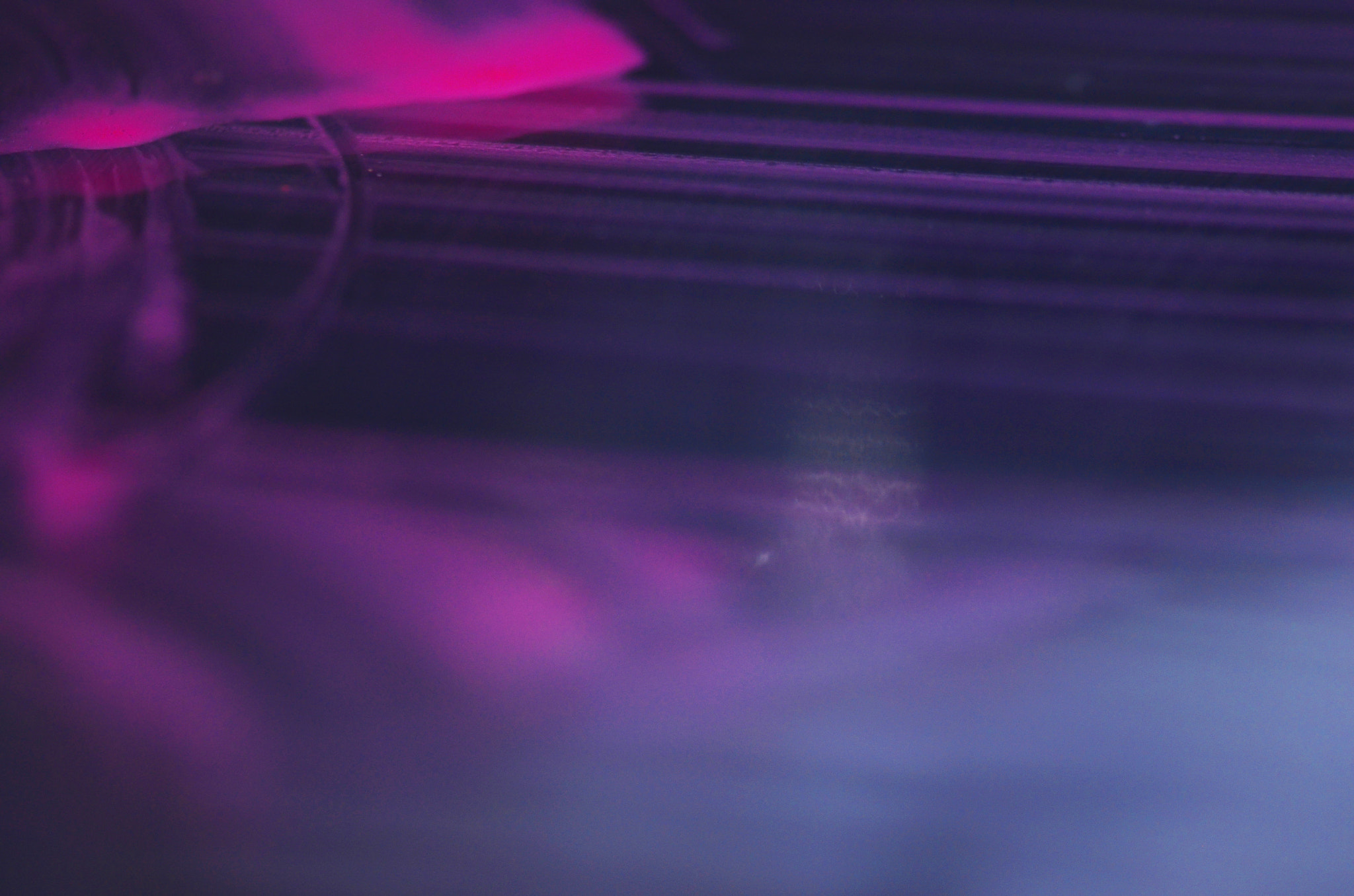 Nikon AF-S Micro-Nikkor 105mm F2.8G IF-ED VR sample photo