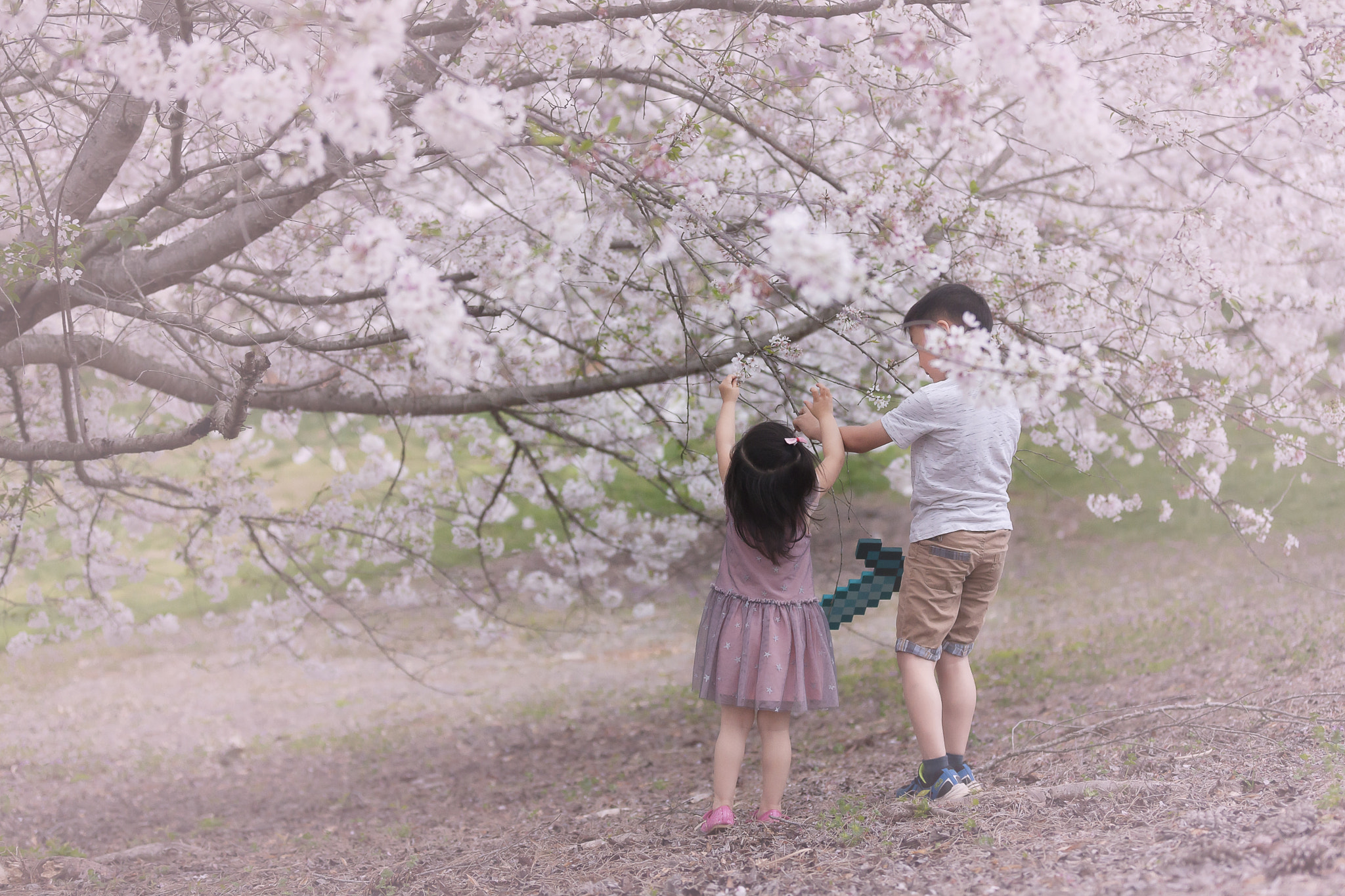 Canon EF 70-200mm F2.8L IS II USM sample photo. Fell the spring photography