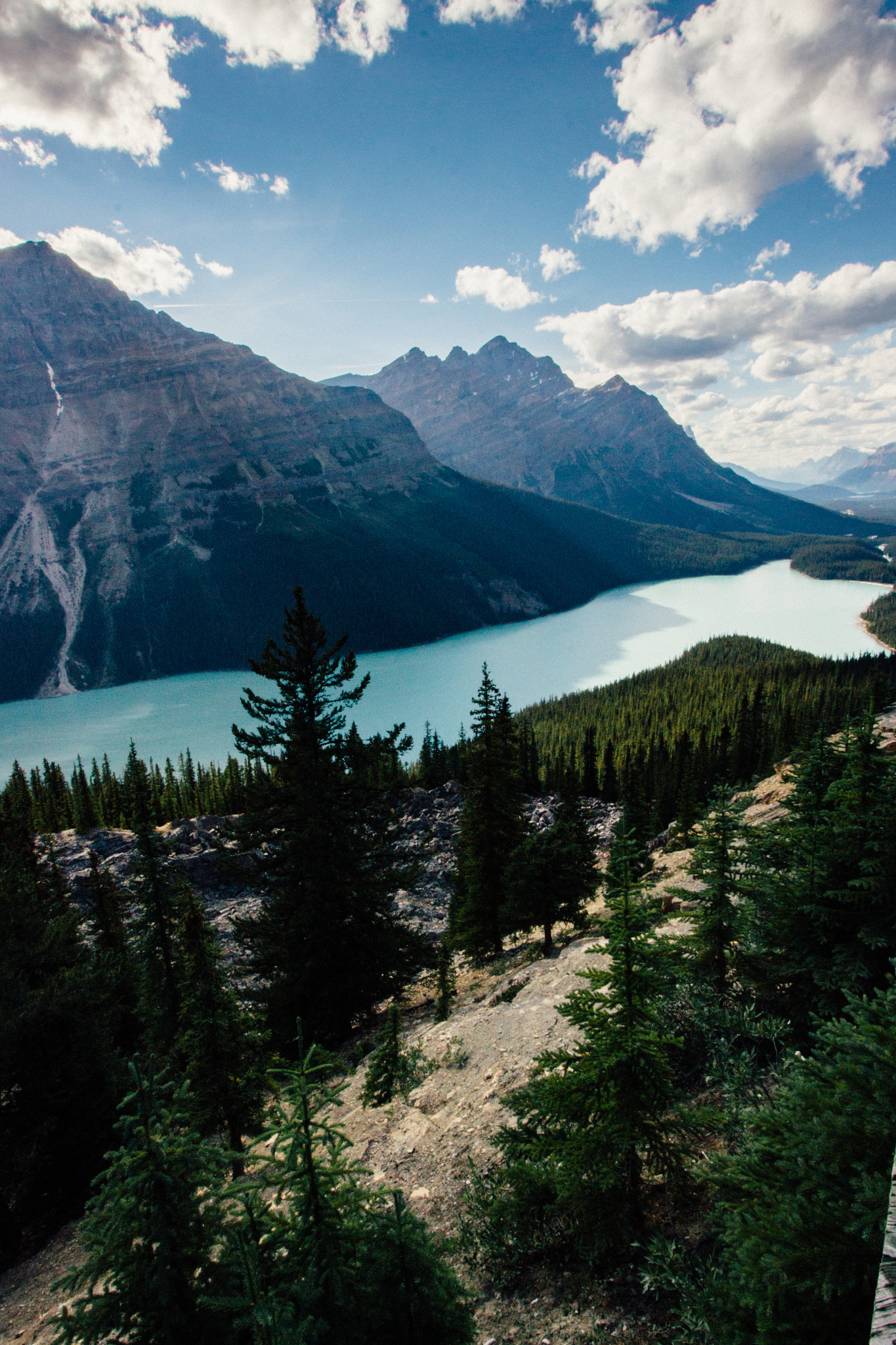Canon EF-S 10-22mm F3.5-4.5 USM sample photo. Peyto lake photography