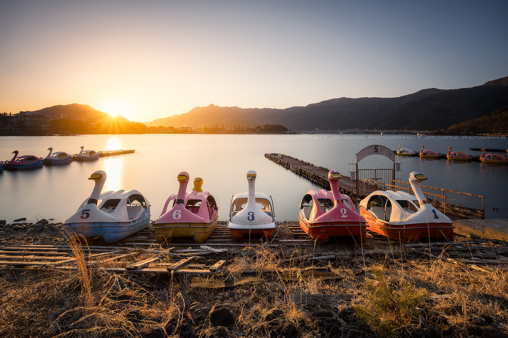 Sony a7R + Canon TS-E 17mm F4L Tilt-Shift sample photo. Kawaguchi swans photography