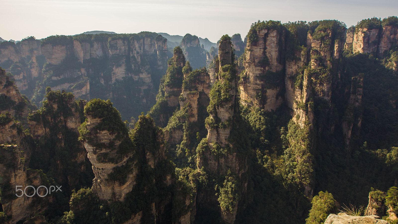 Canon EF 16-35mm F2.8L II USM sample photo. Zhangjiajie in the morning photography
