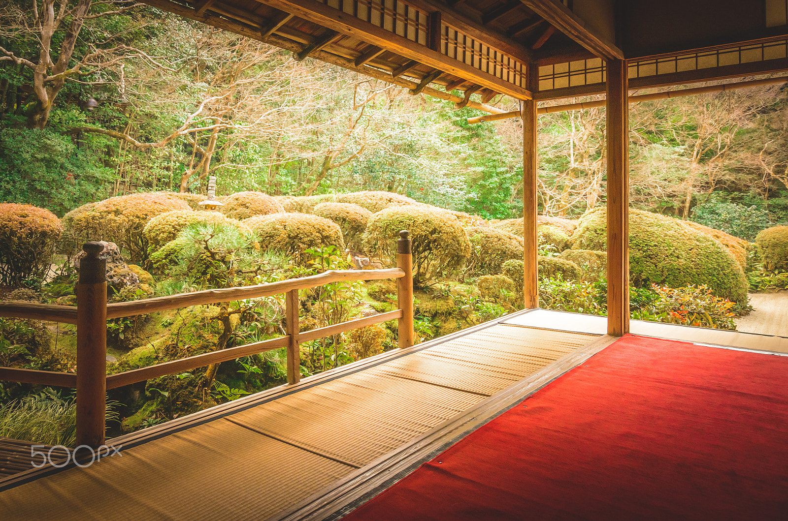 Sigma 10-20mm F3.5 EX DC HSM sample photo. Shisen-do photography