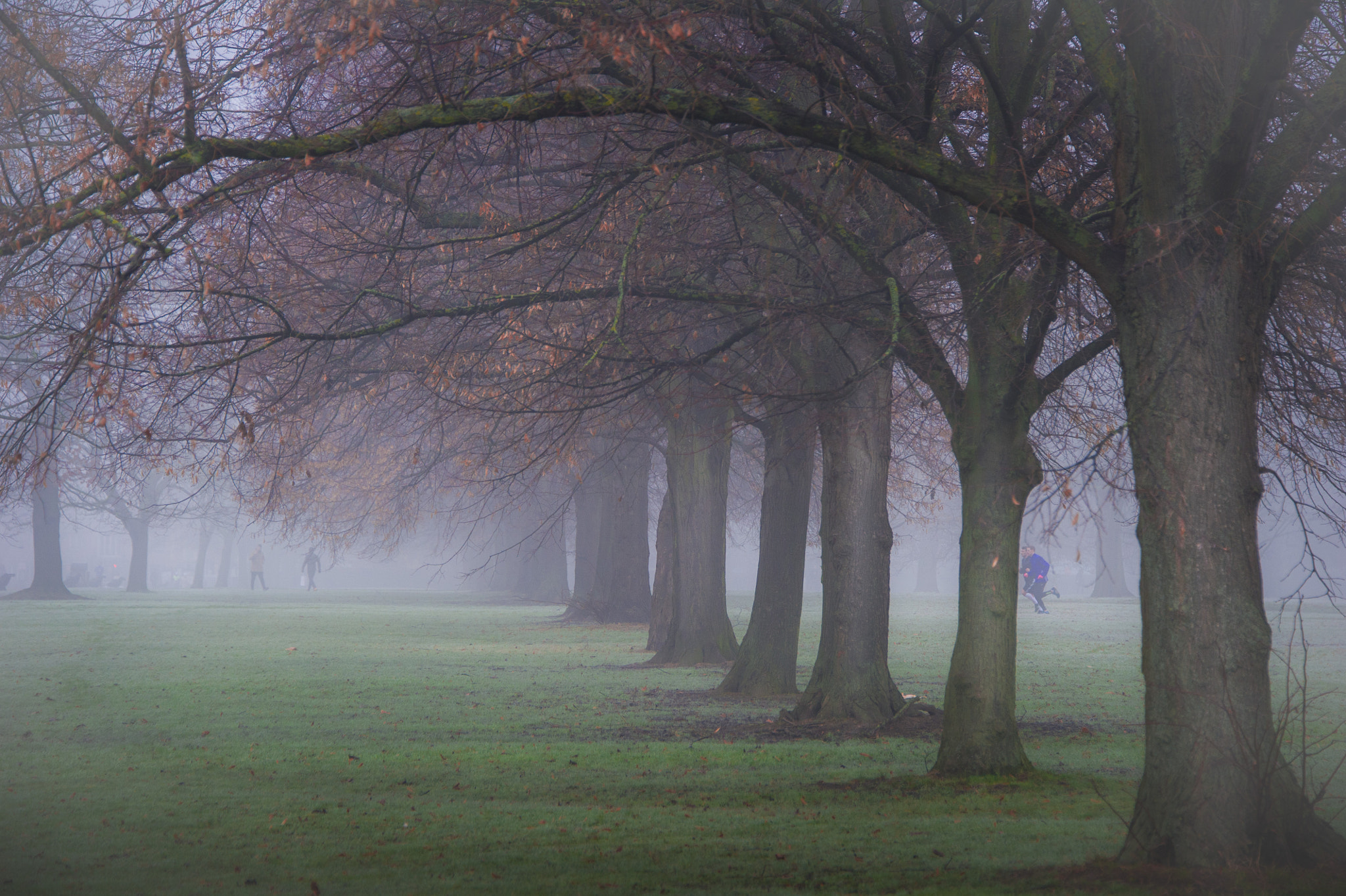 Nikon D3S + Nikon AF-S Nikkor 28-300mm F3.5-5.6G ED VR sample photo. Foggy morning in hyde park photography