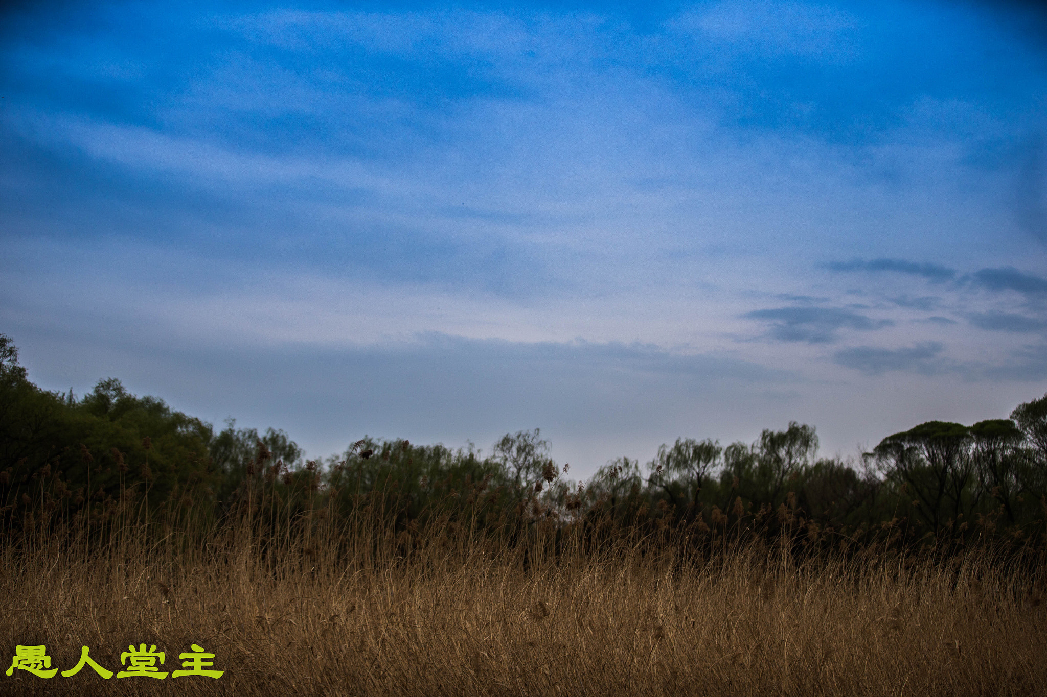 Canon EOS-1D X sample photo. Bx photography